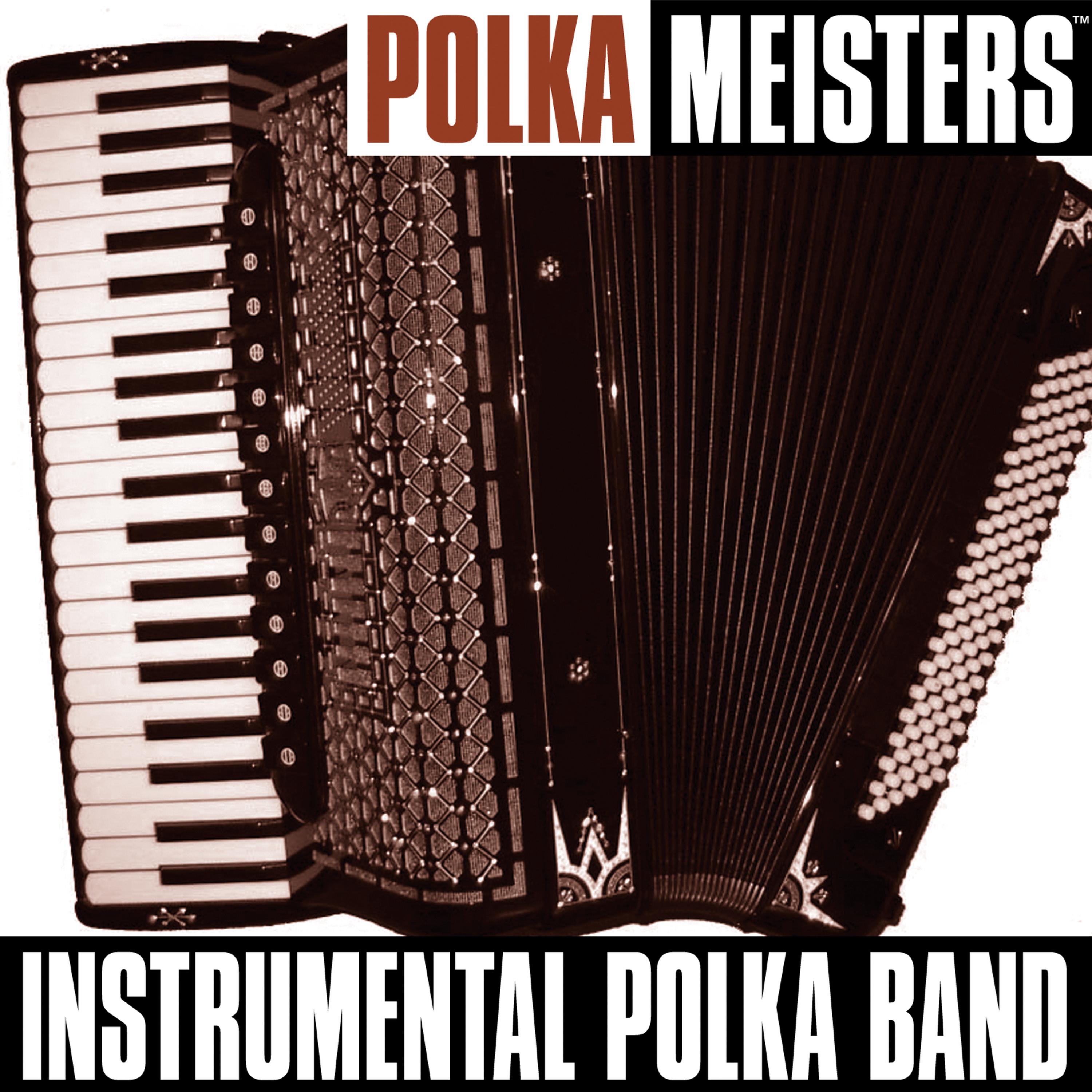 Постер альбома Polka Meisters