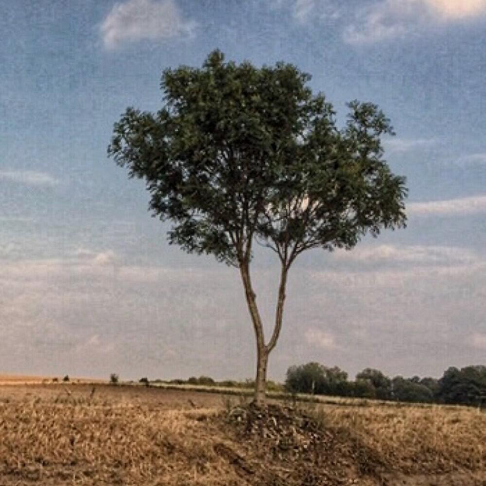 Levin Strehlow - Waldrand