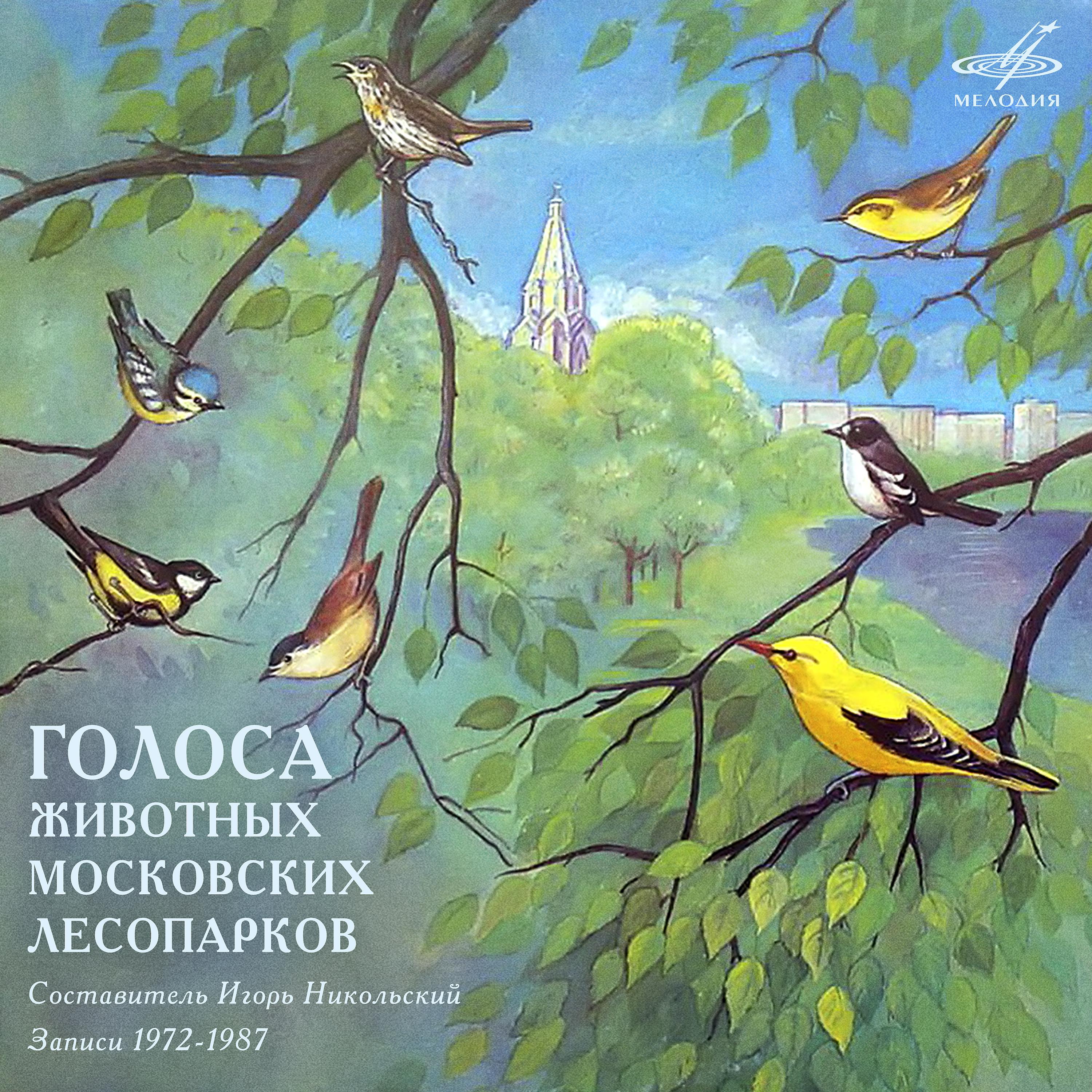 Постер альбома Голоса животных московских лесопарков