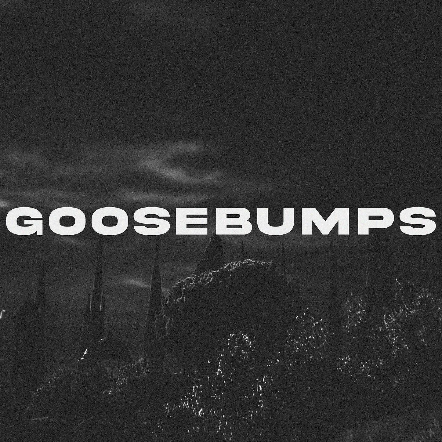 David Linhof - Goosebumps