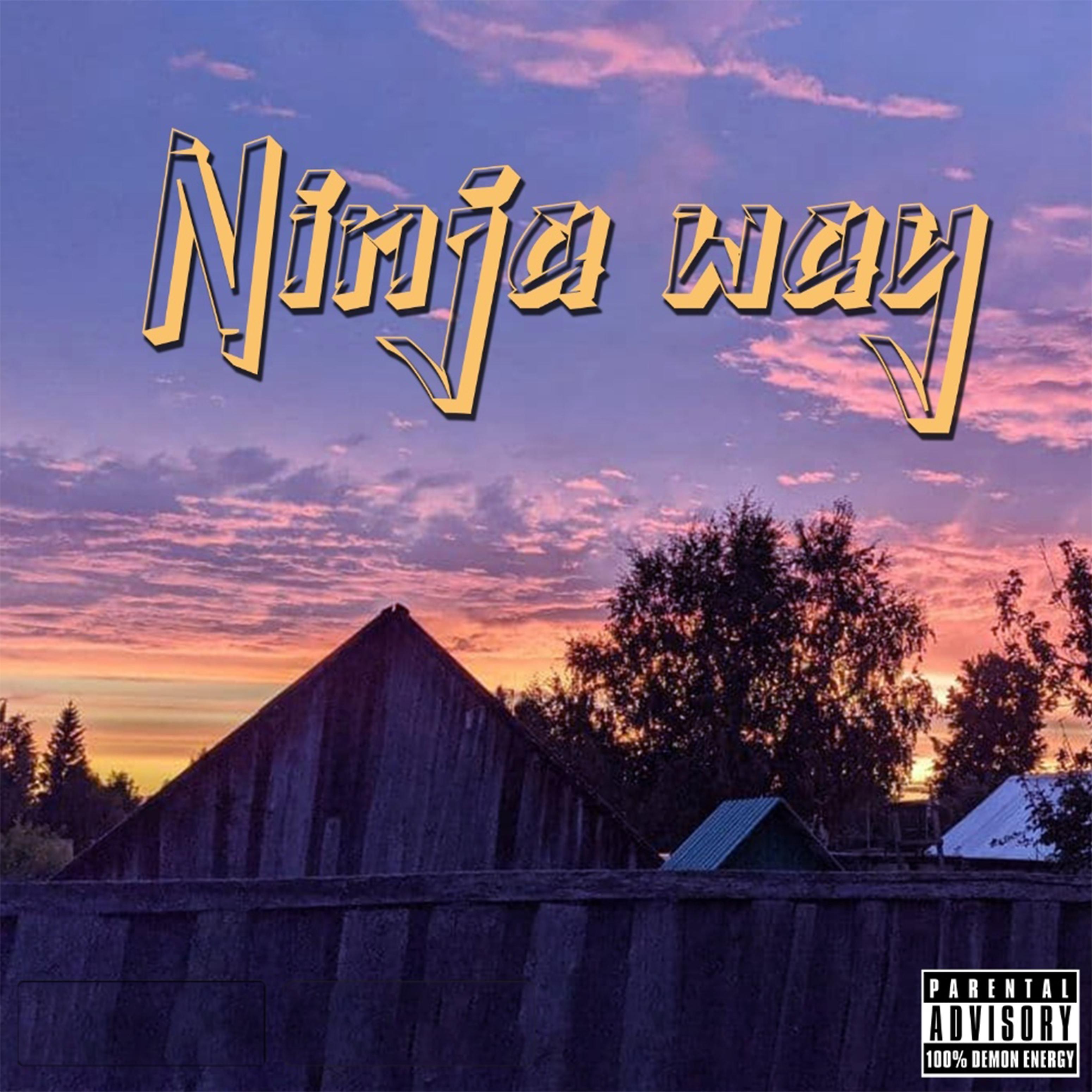 Постер альбома Ninja Way