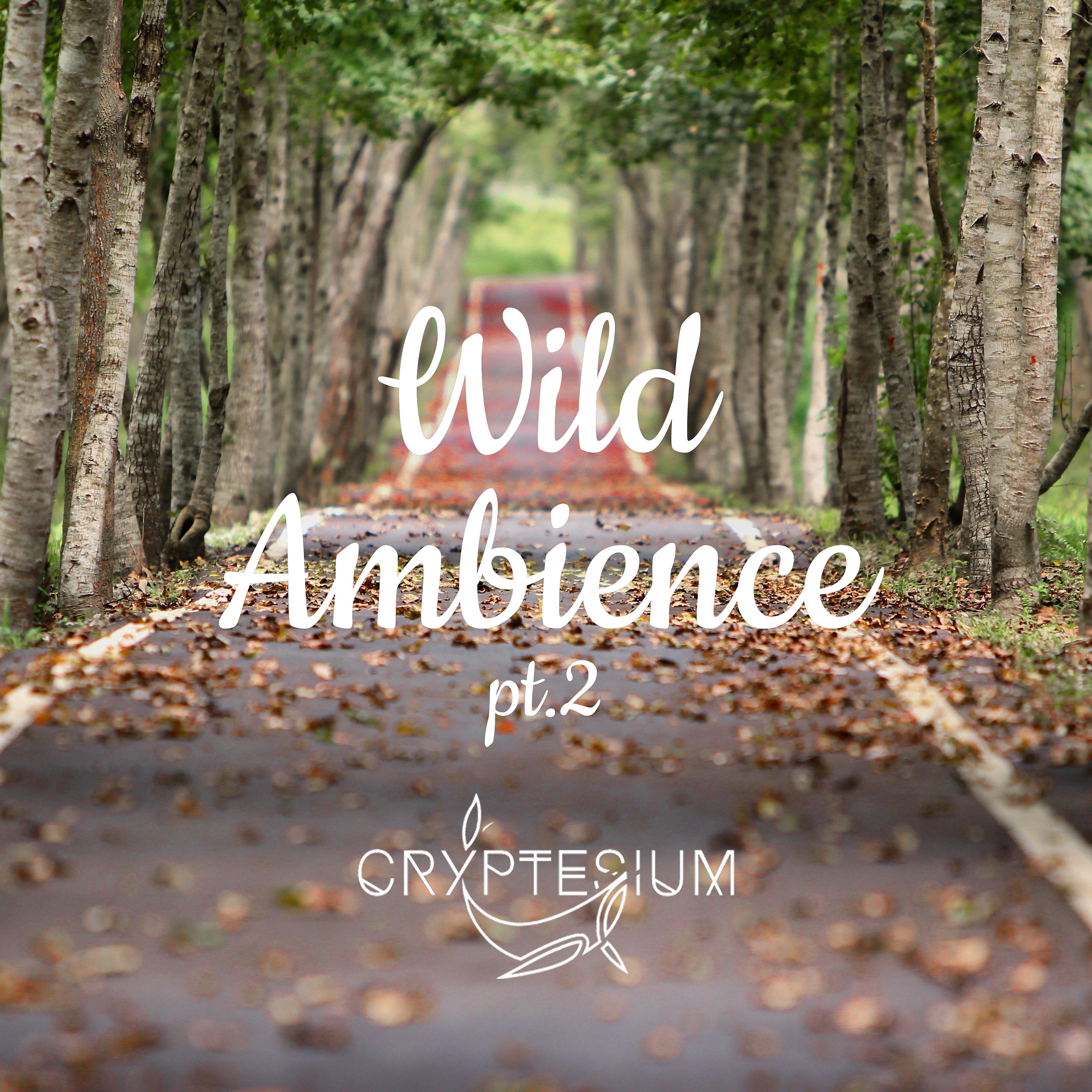 Постер альбома Wild Ambience, Pt. 2