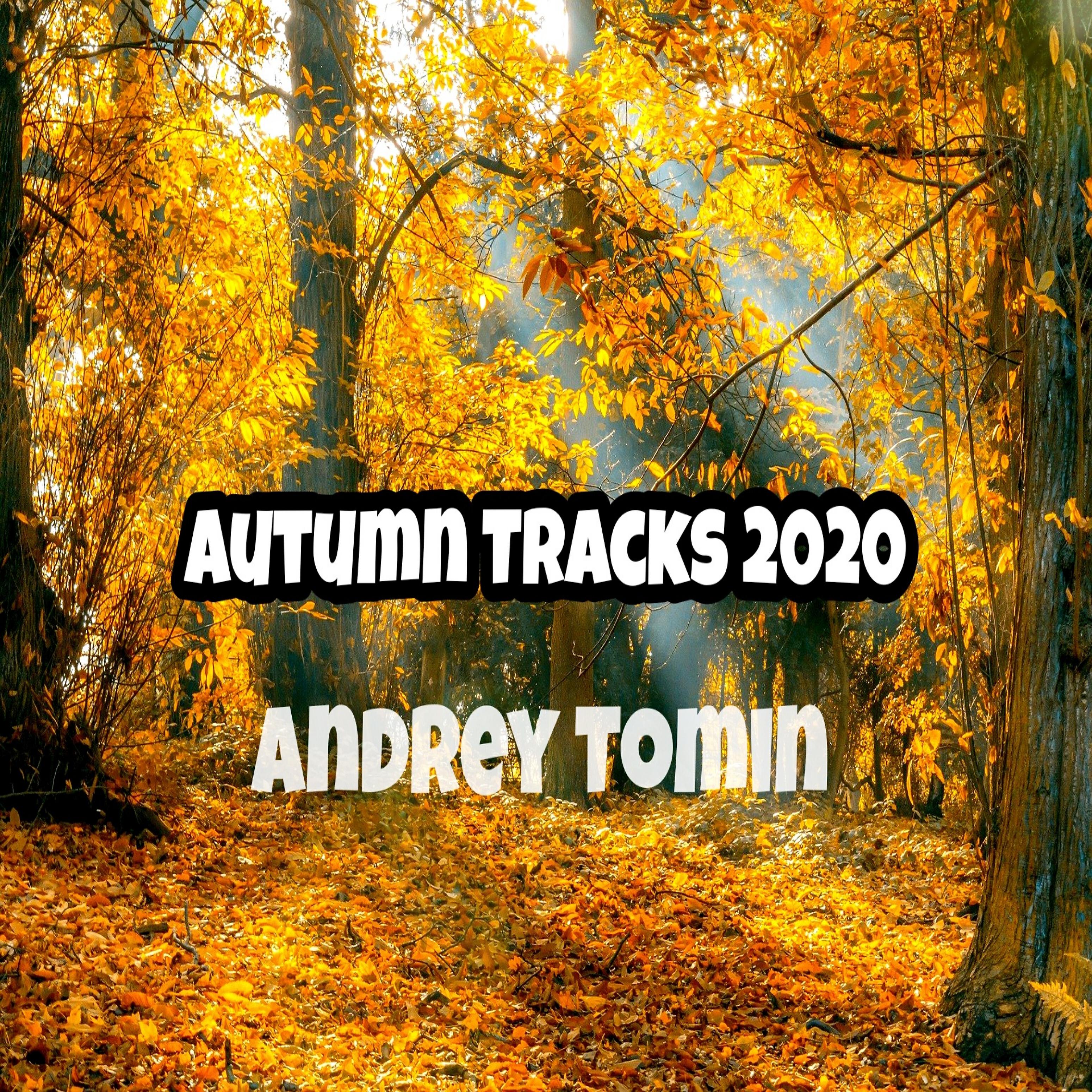 Andrey Tomin - Karamba Boy