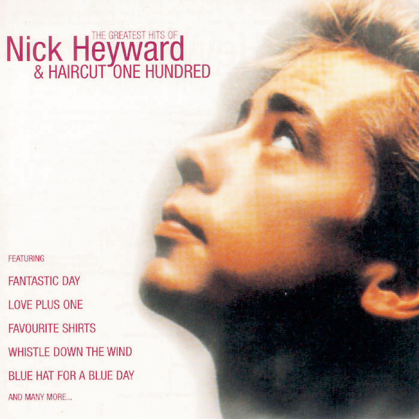 Nick Heyward - The Day It Rained Forever