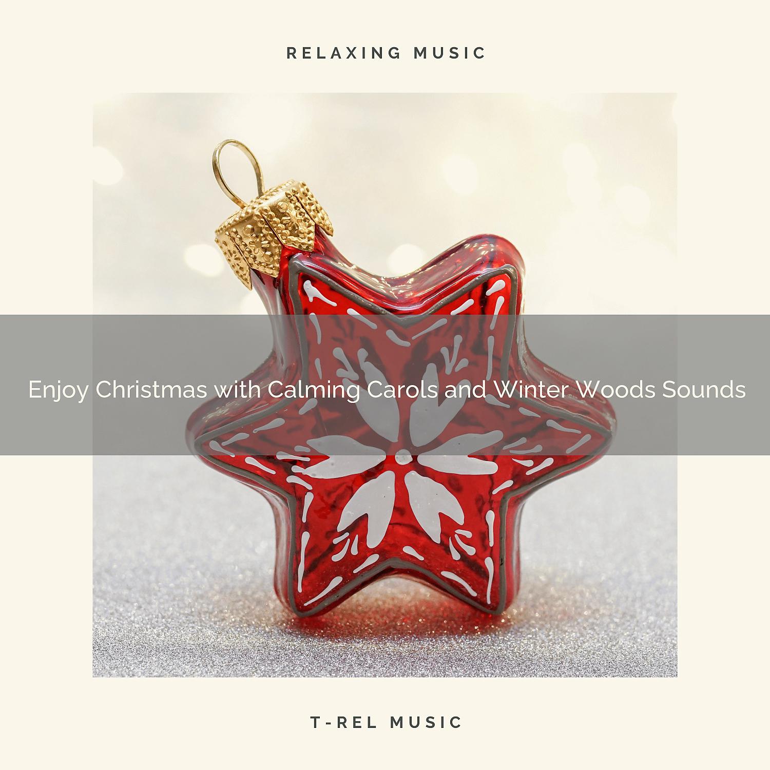 Постер альбома Enjoy Christmas with Calming Carols and Winter Woods Sounds