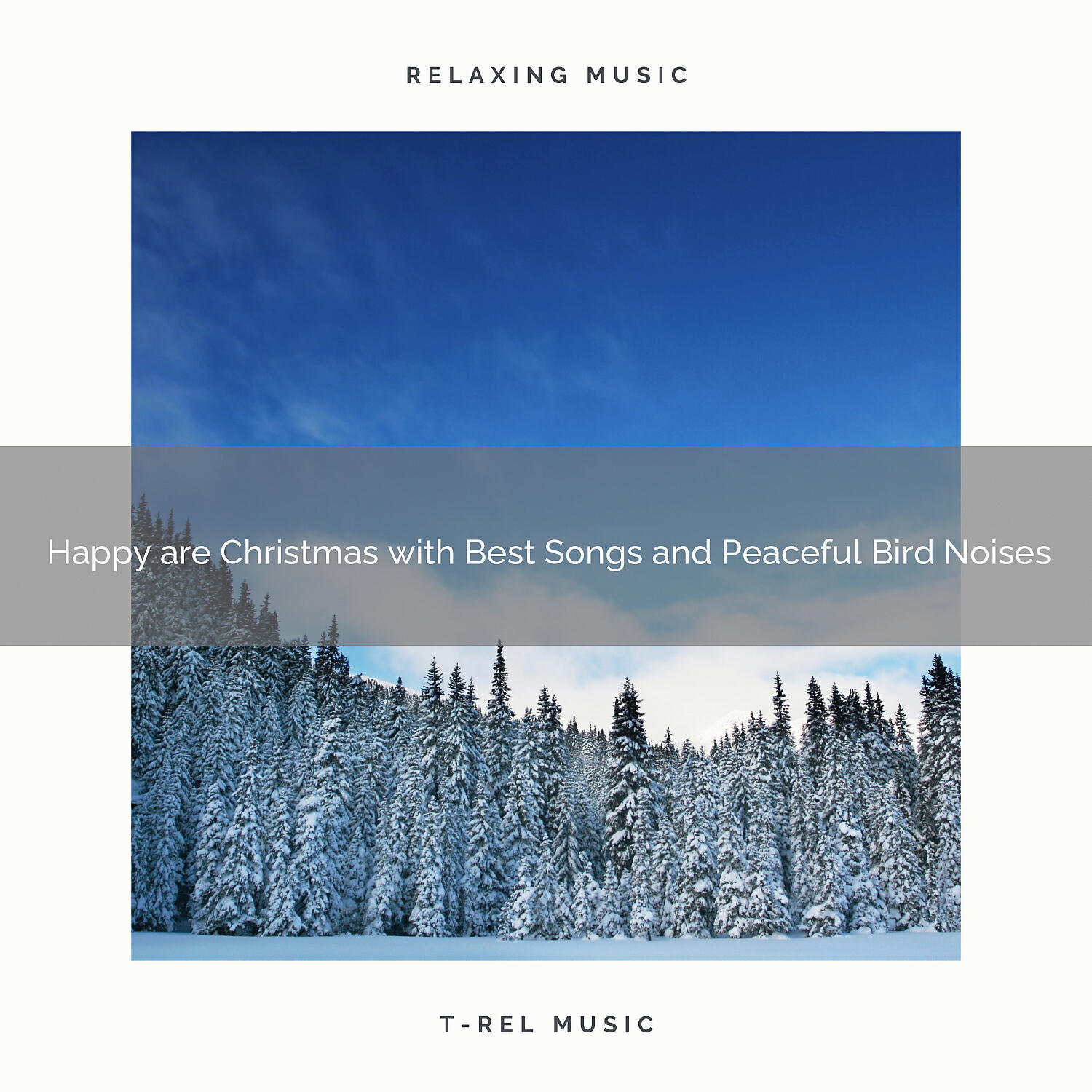 Sounds Of Nature Relaxation - Happy are Christmas with Best Songs and Calmful Bird Noises