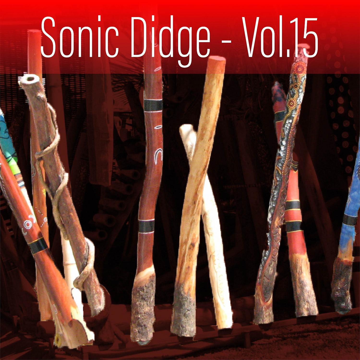 Постер альбома Sonic Didge, Vol. 15
