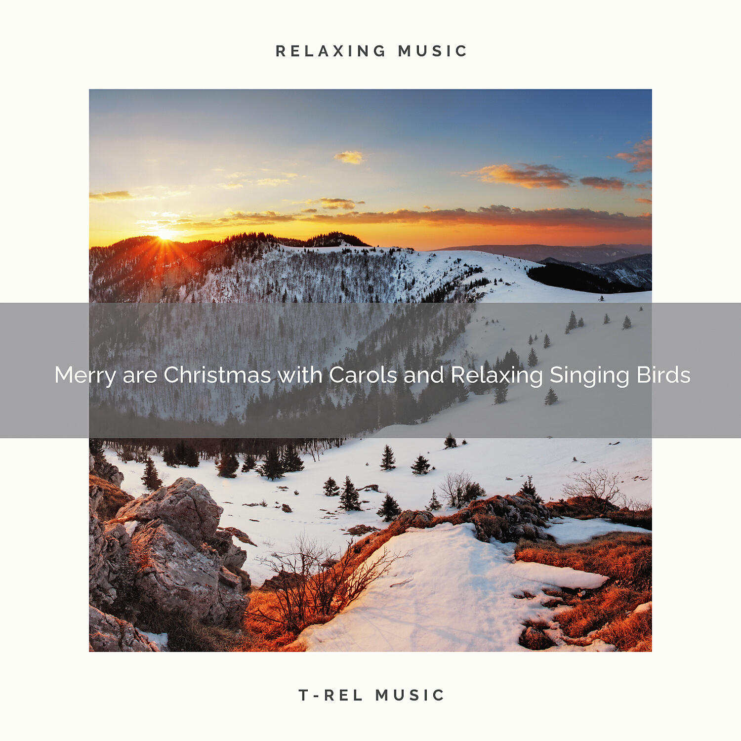White Noise Research - Merry are Christmas with Carols and Relaxing Wild Birds Tweets