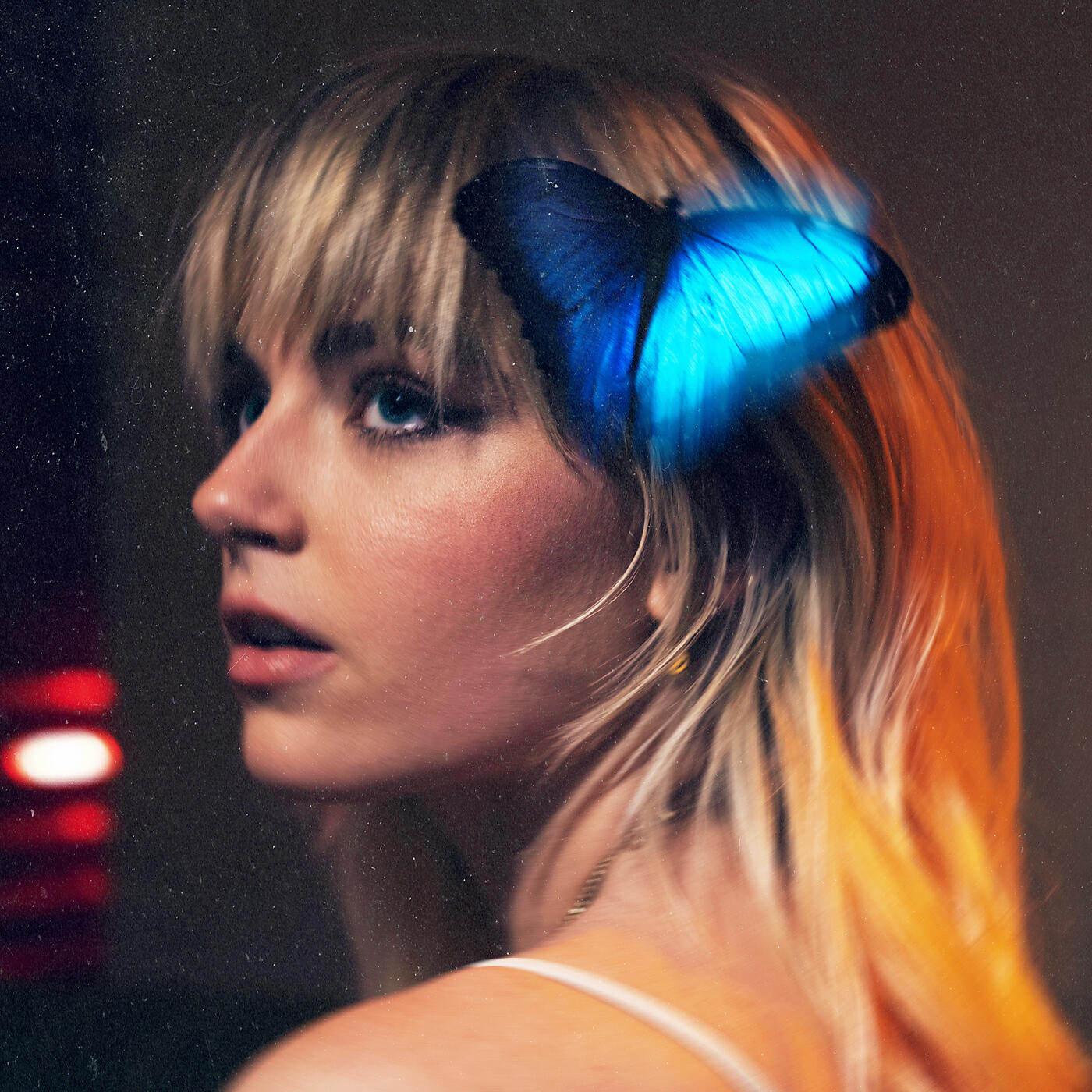 Sody - butterfly
