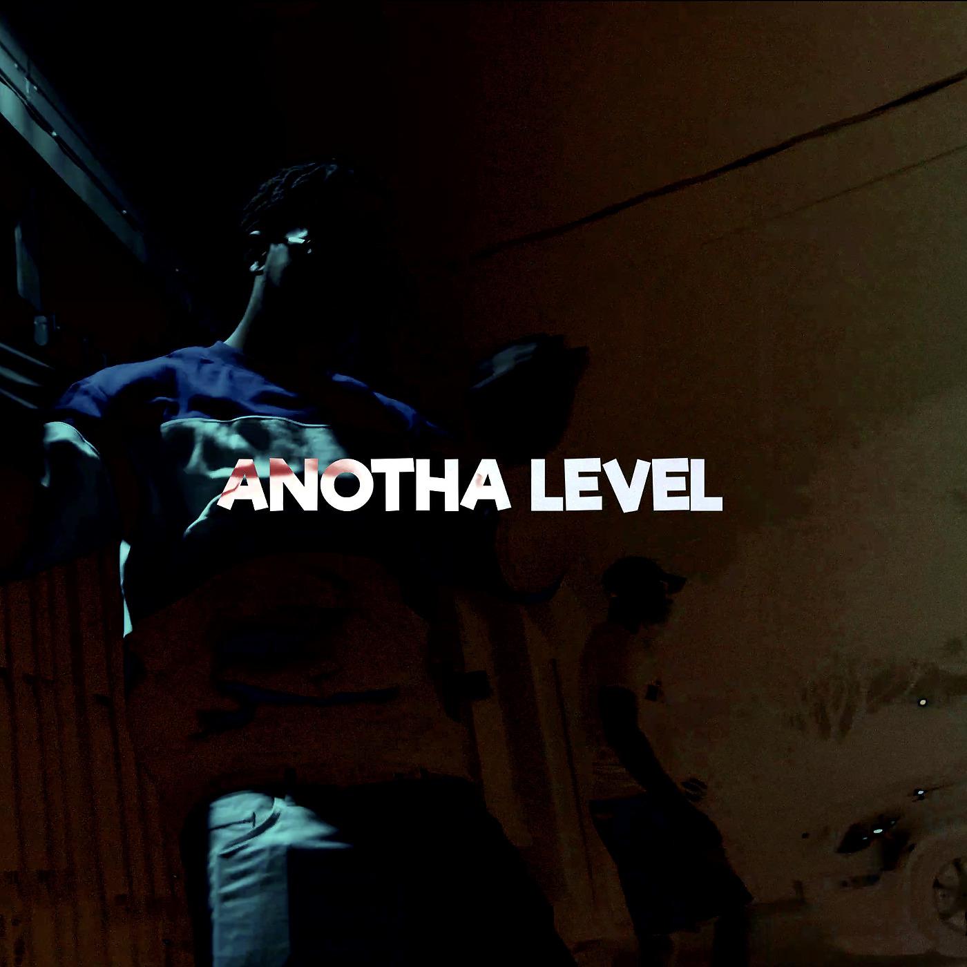 Постер альбома Anotha Level