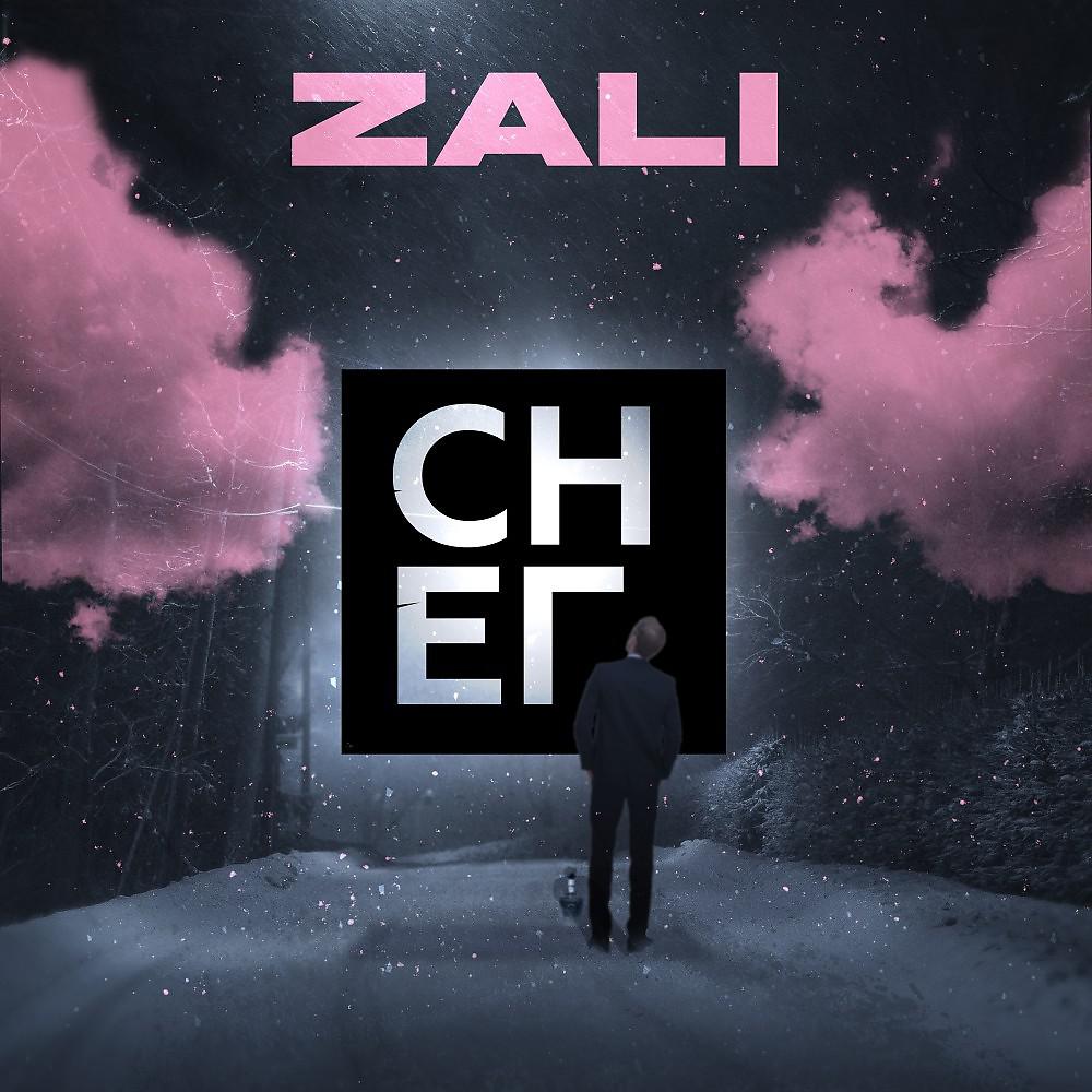 Постер альбома MC Zali - Снег
