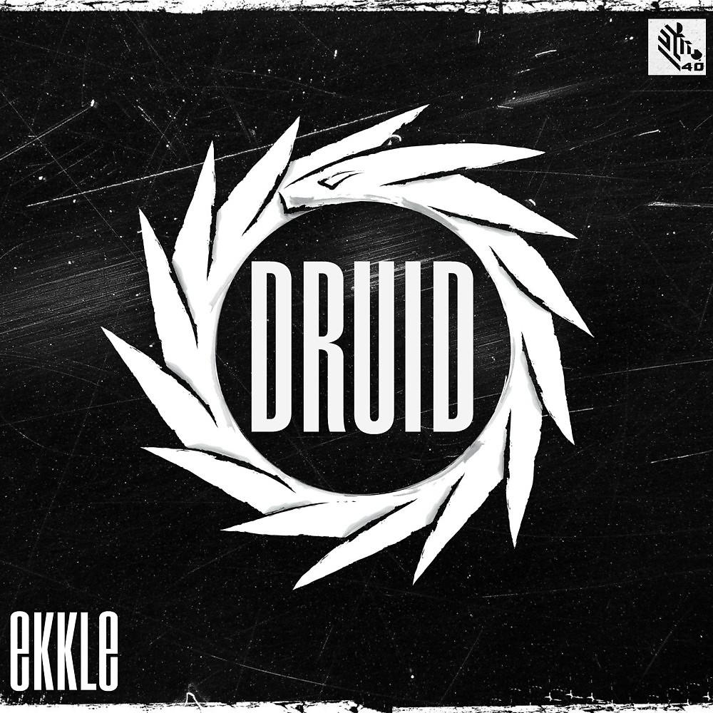 Постер альбома Druid