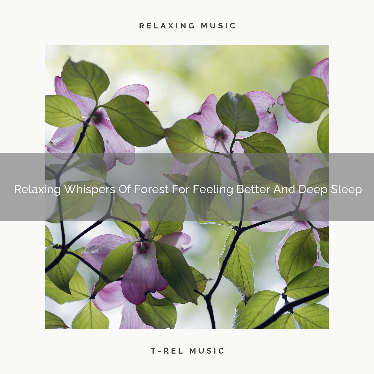 Постер альбома Relaxing Whispers Of Forest For Feeling Better And Deep Sleep