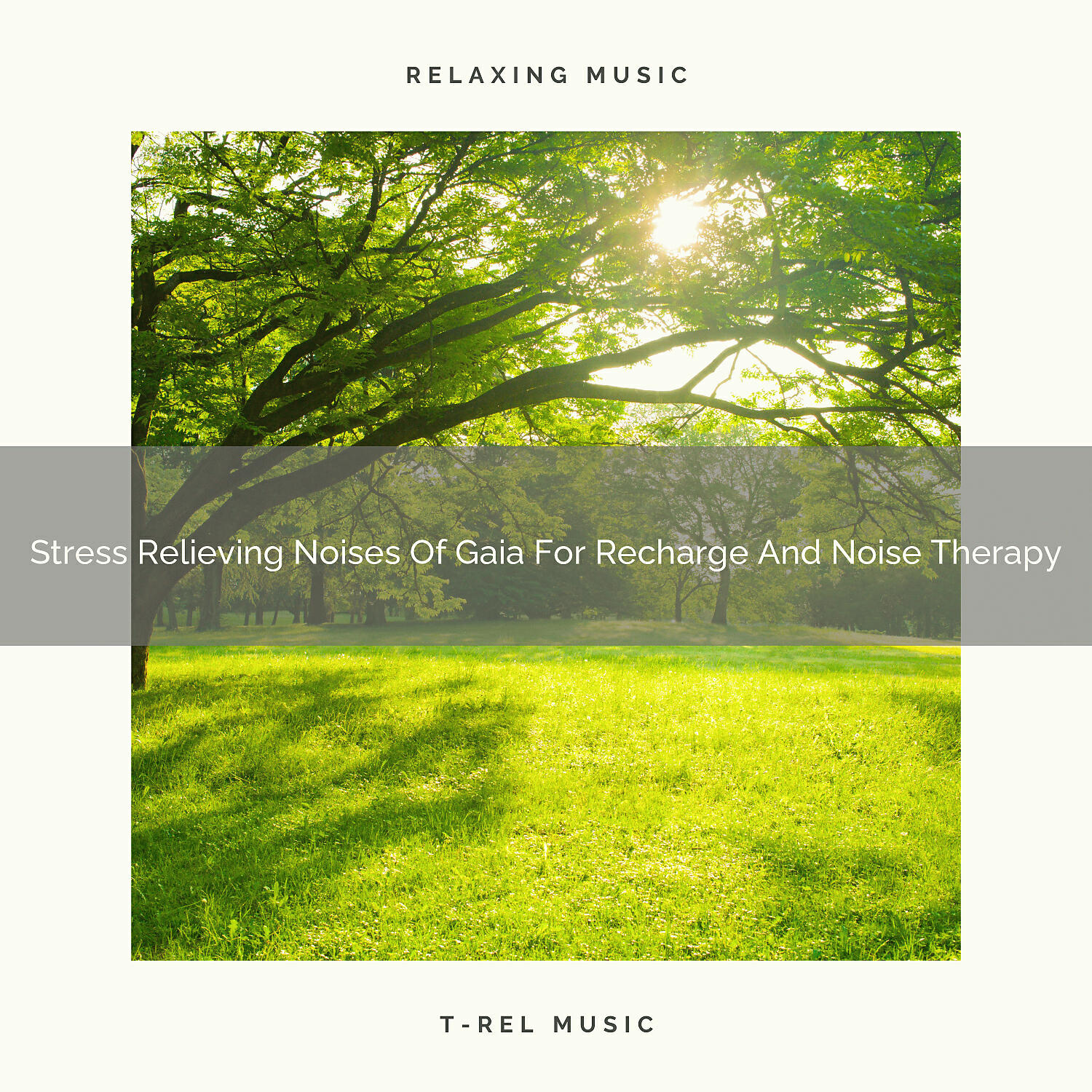 Beach Sounds - Fantastic White Noise Of Gaia For Refresh And REM Sleep