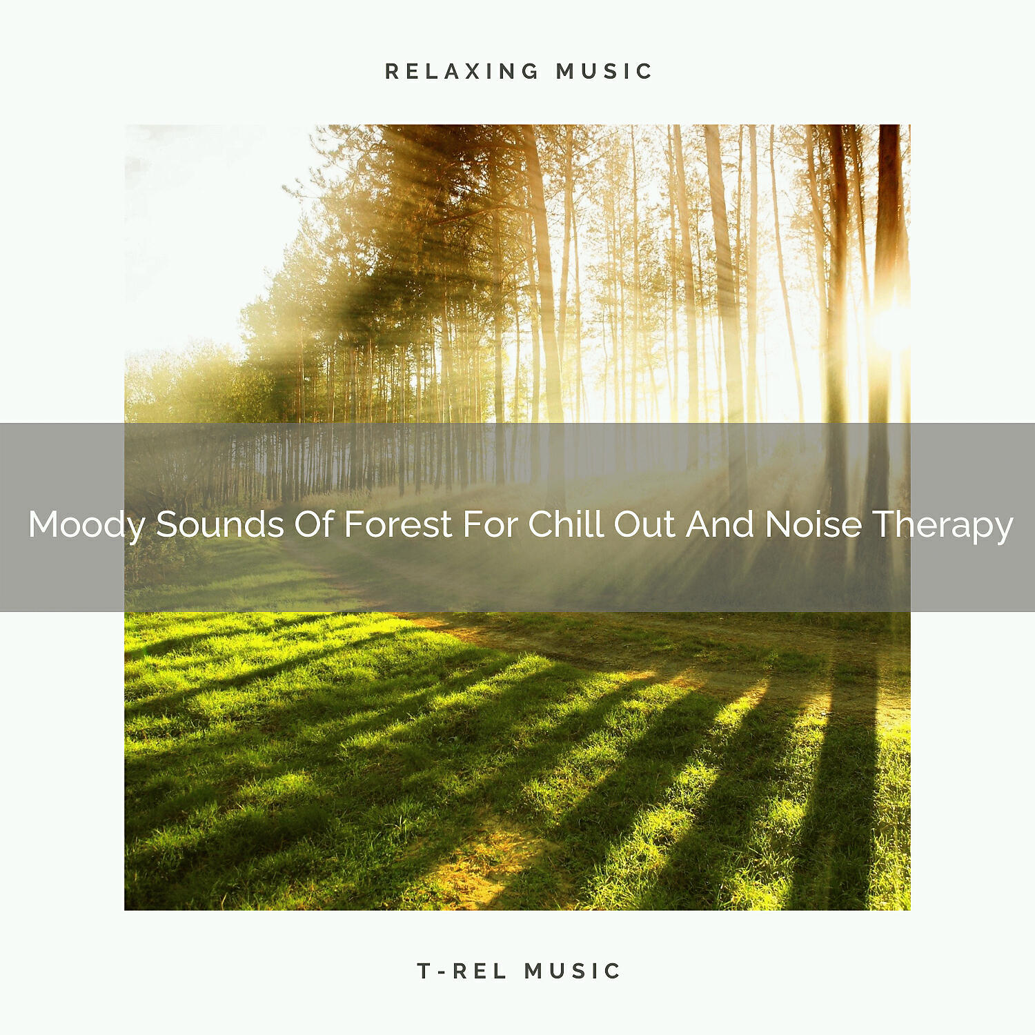 Ambient Nature Project - Funny Noises Of Forest For Chill Out And Noise Therapy