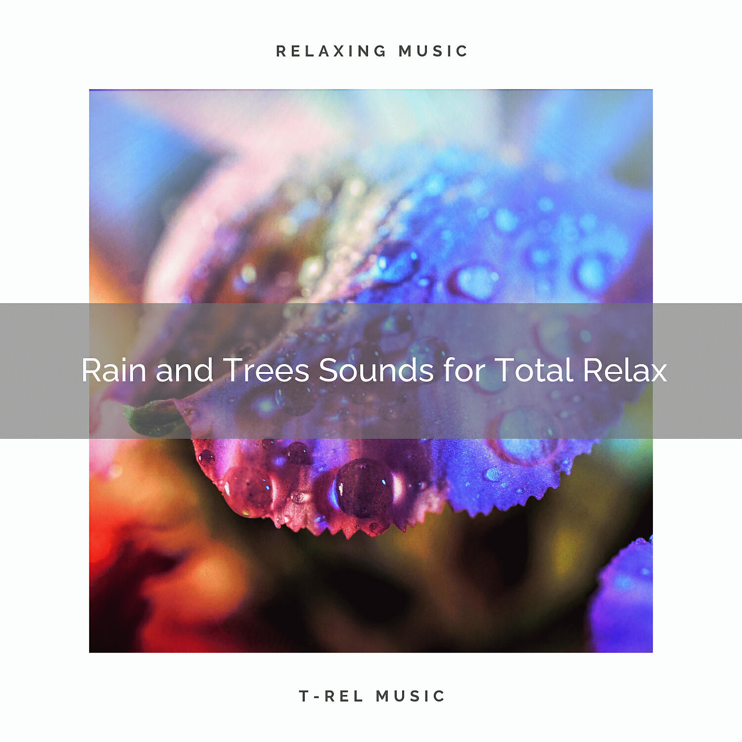 Sleep Nature Rain Sound - Thunder and Forest Noises for Delicious Nap