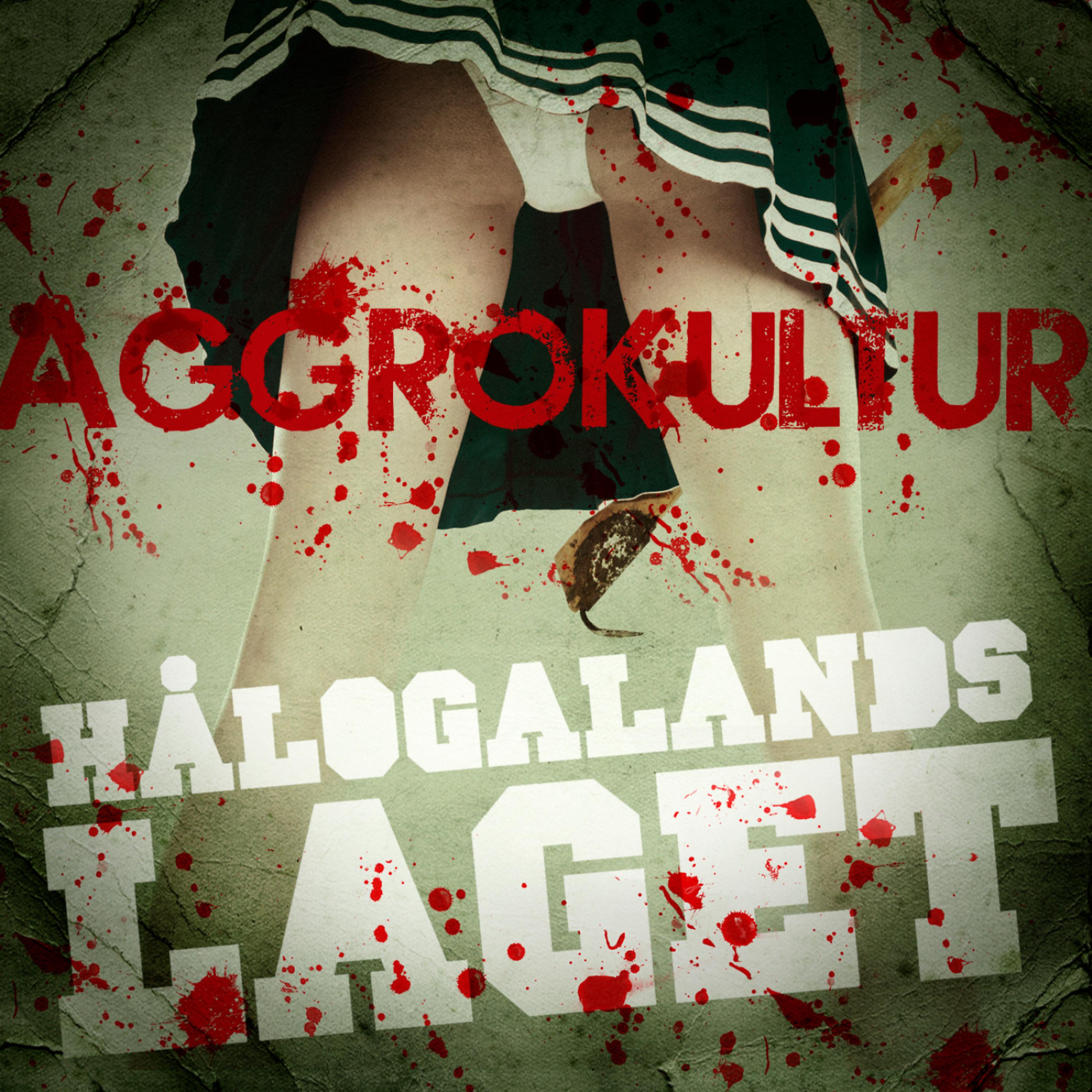 Постер альбома Aggrokultur