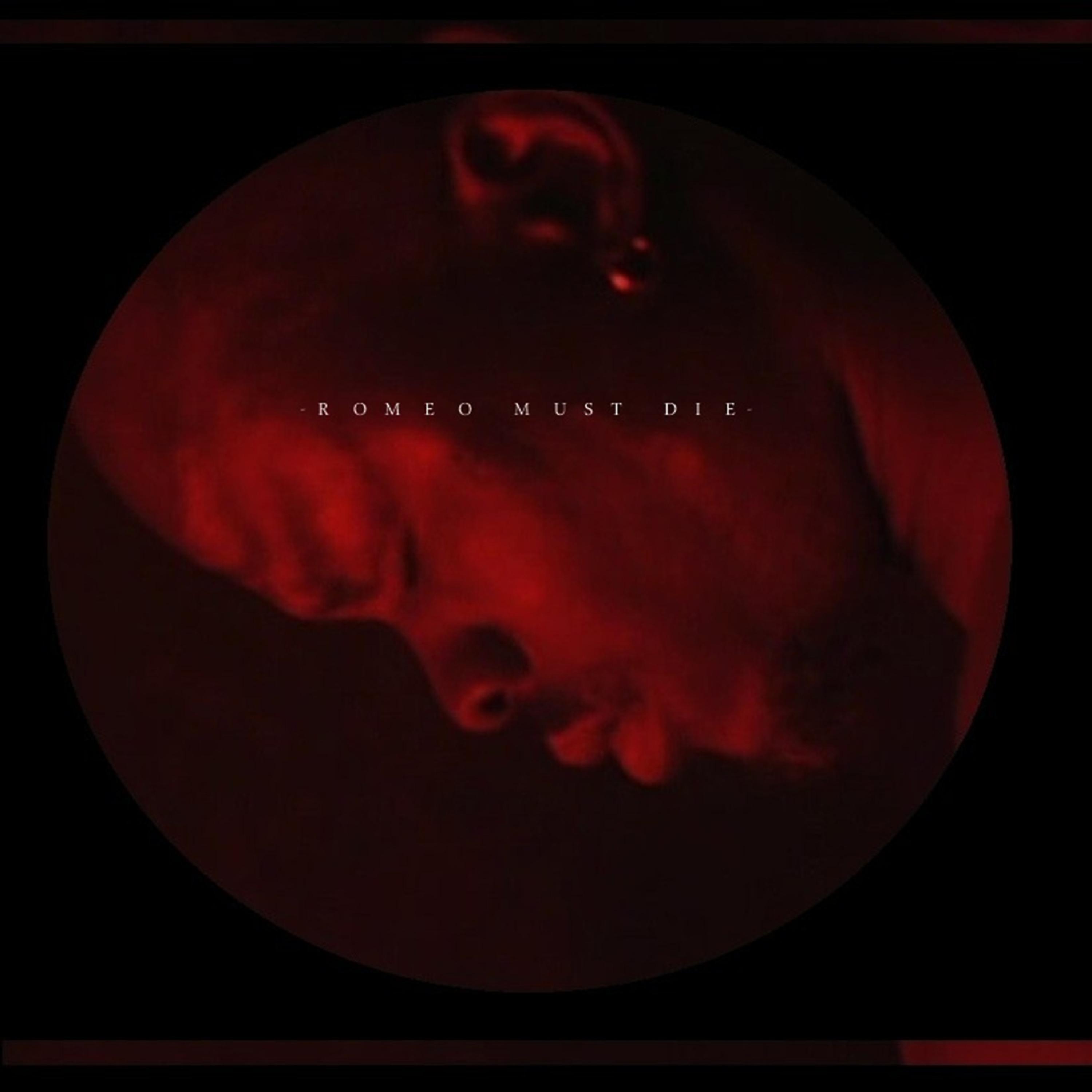 Постер альбома Romeo Must Die (Single)