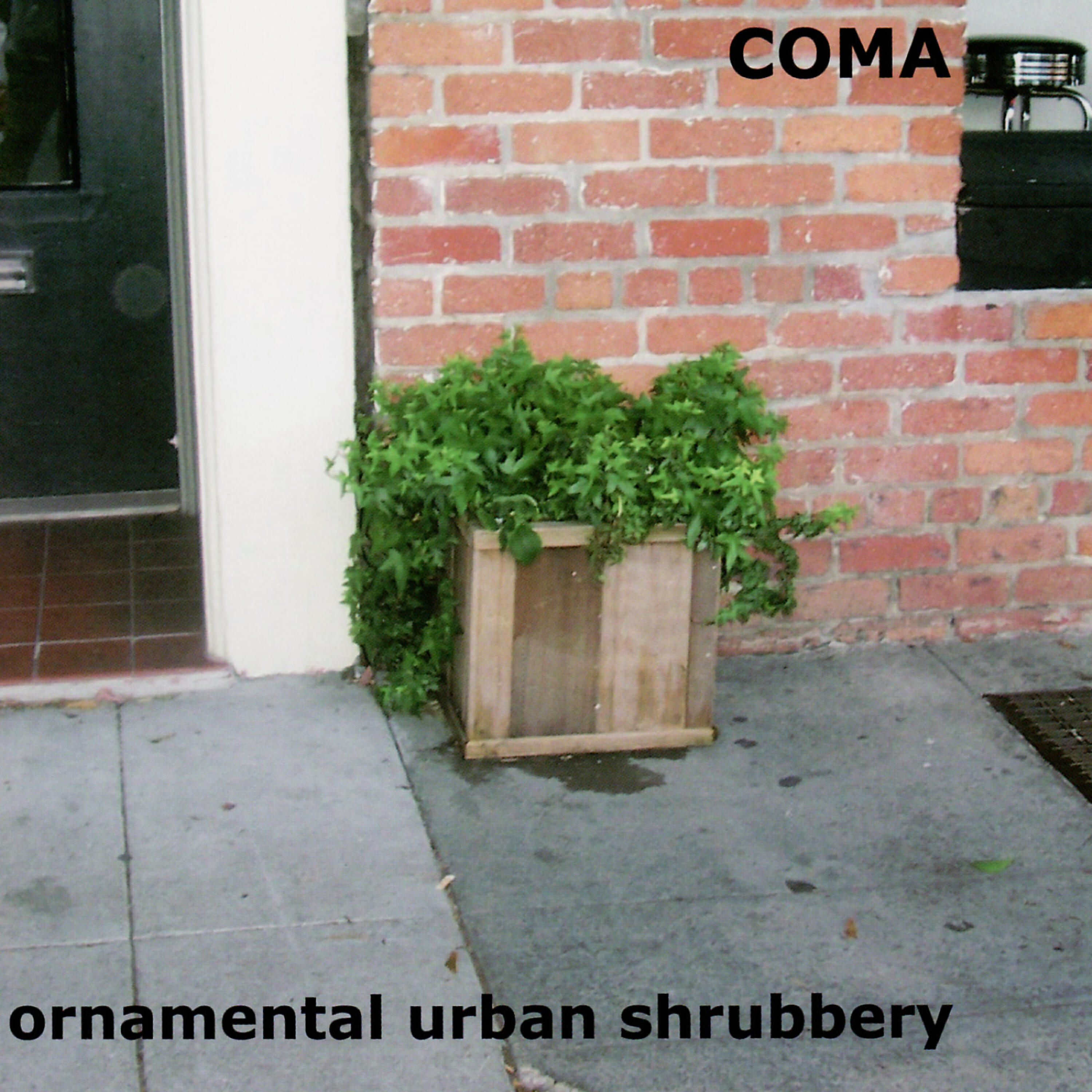C.O.M.A. (California Outside Music Associaites) - Portable Inorganic Matter