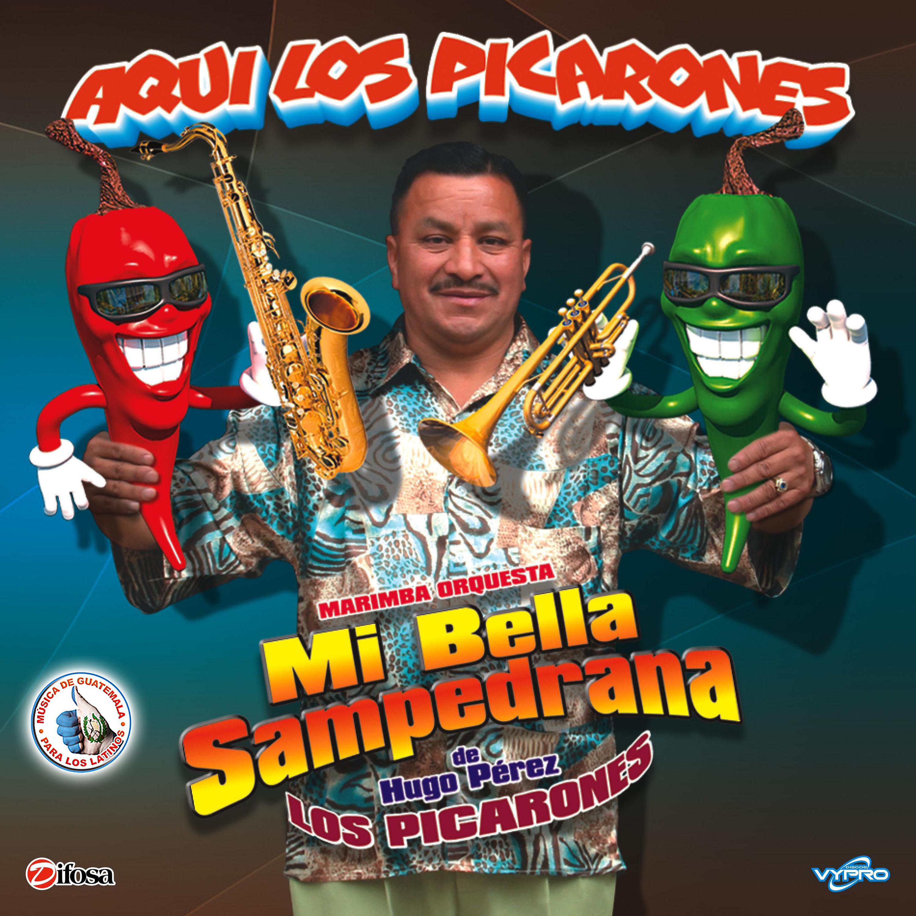 Постер альбома Aquí los Picarones. Música de Guatemala para los Latinos