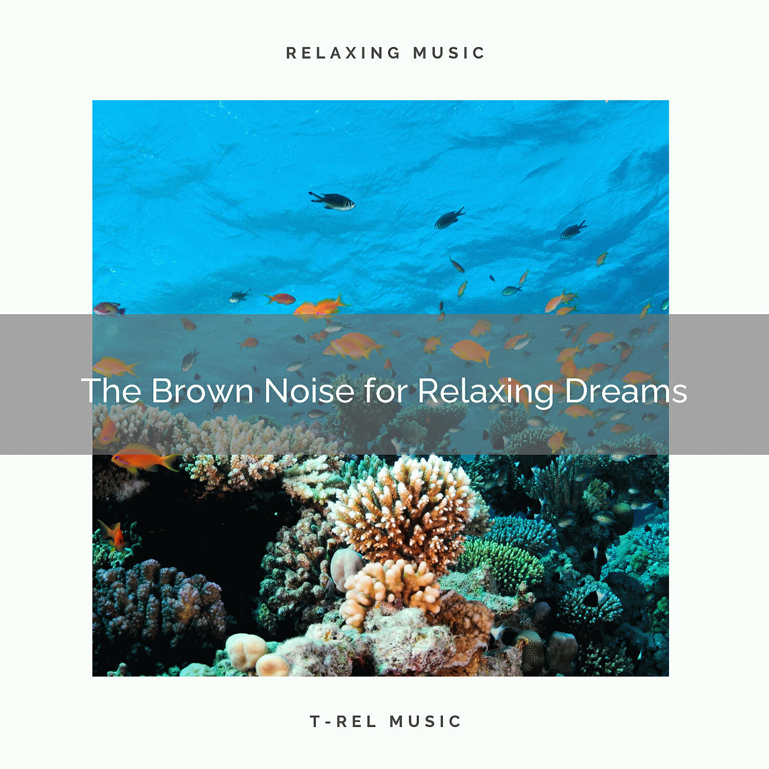 Calming Noises - Dream and Feel the Power of Black Noises