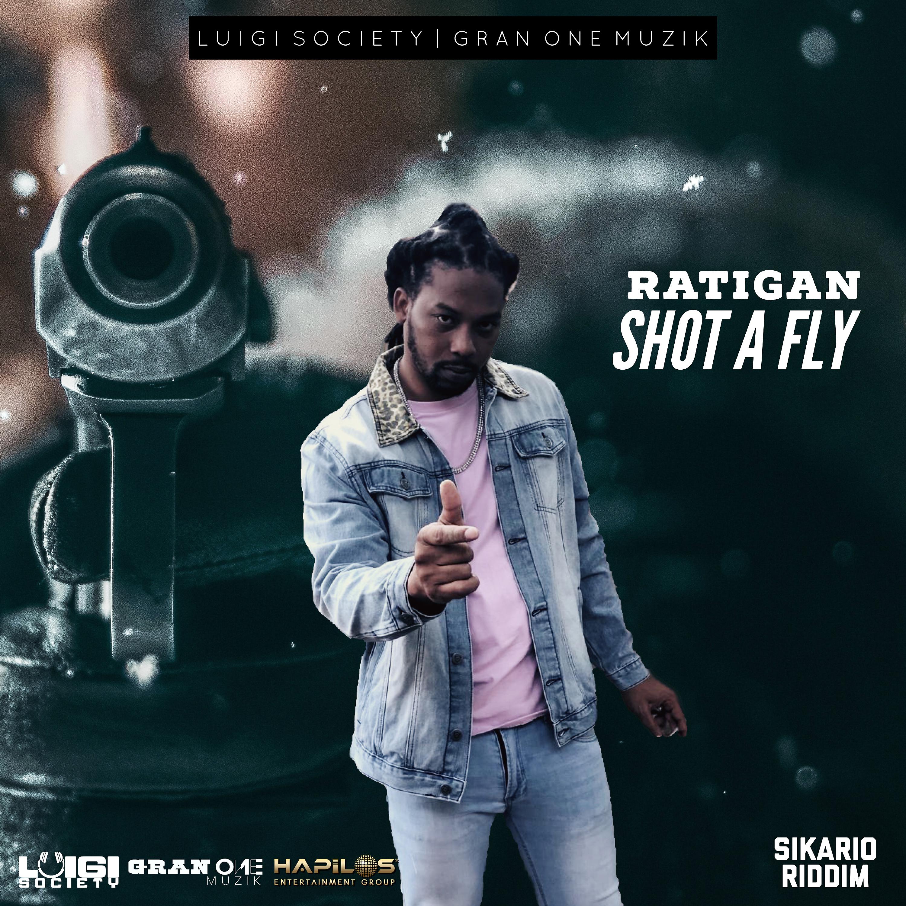 Постер альбома Shot a Fly