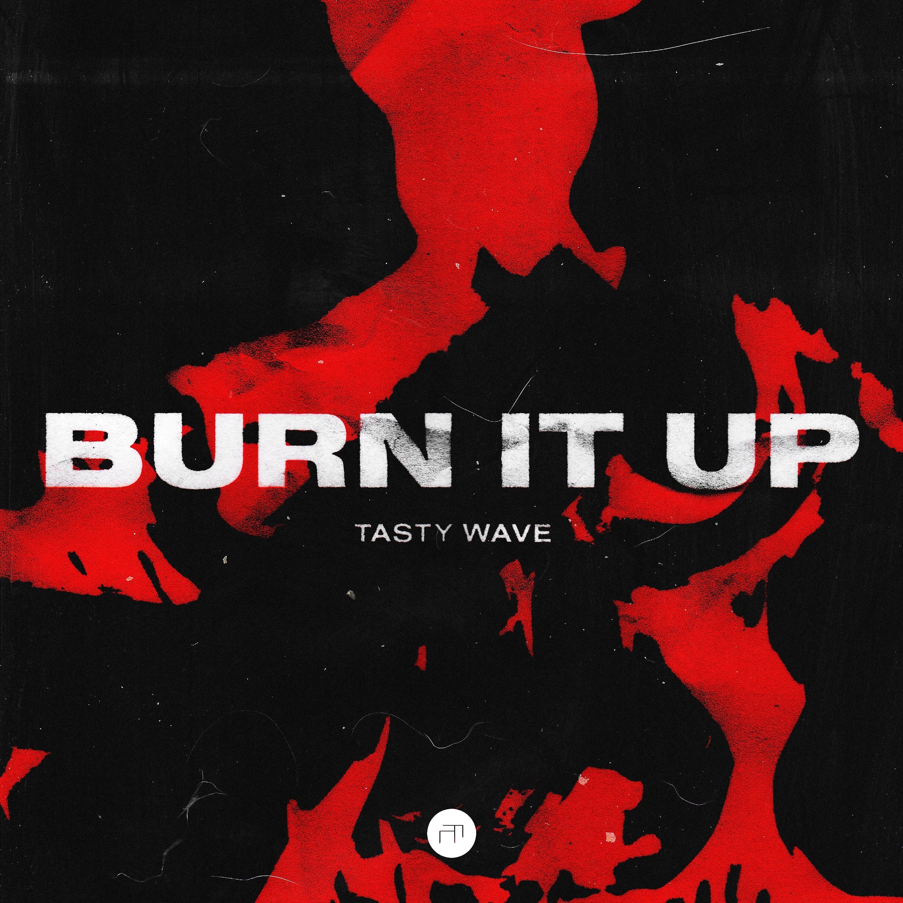 Постер альбома Burn It Up