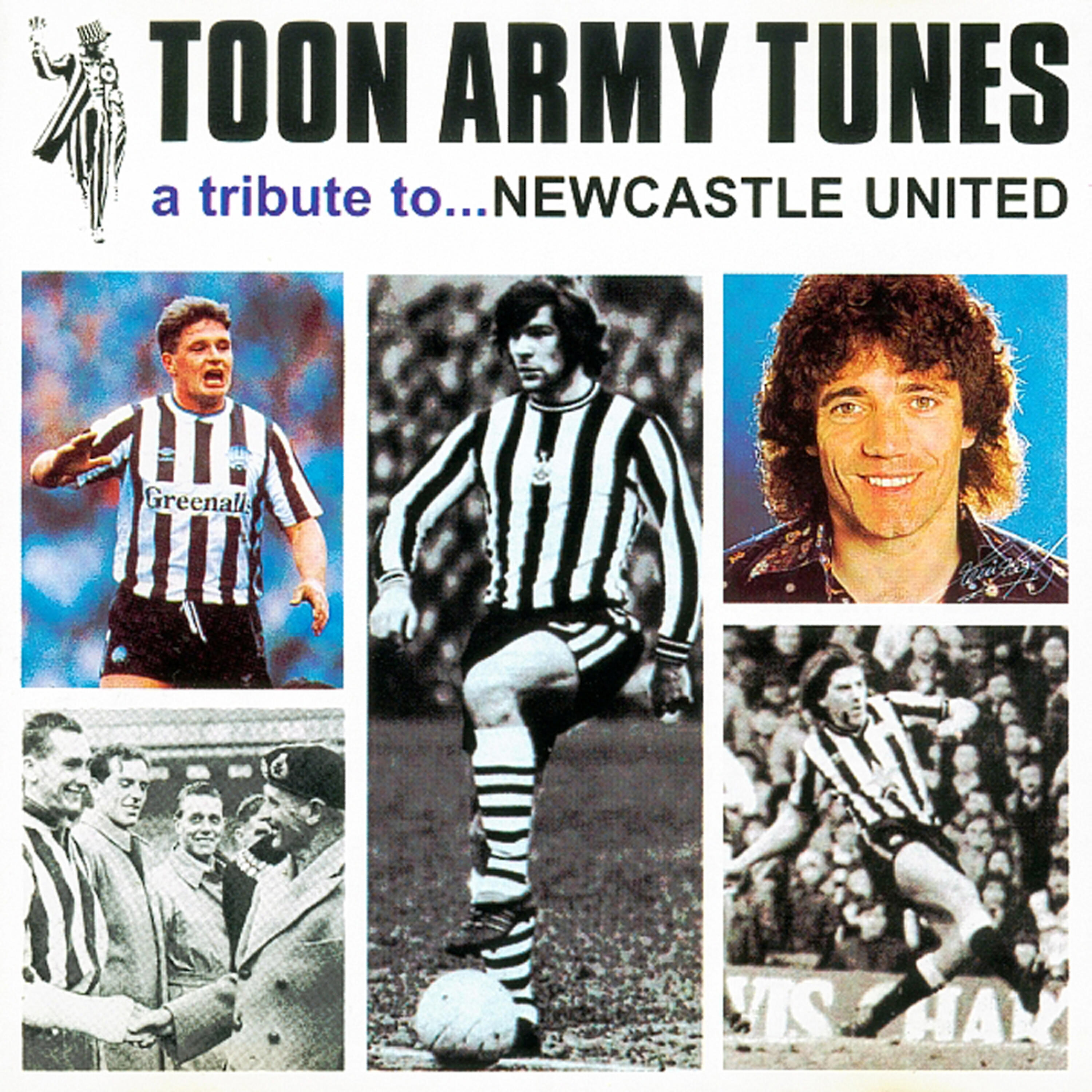 Harry Palmer - Toon Toon Army