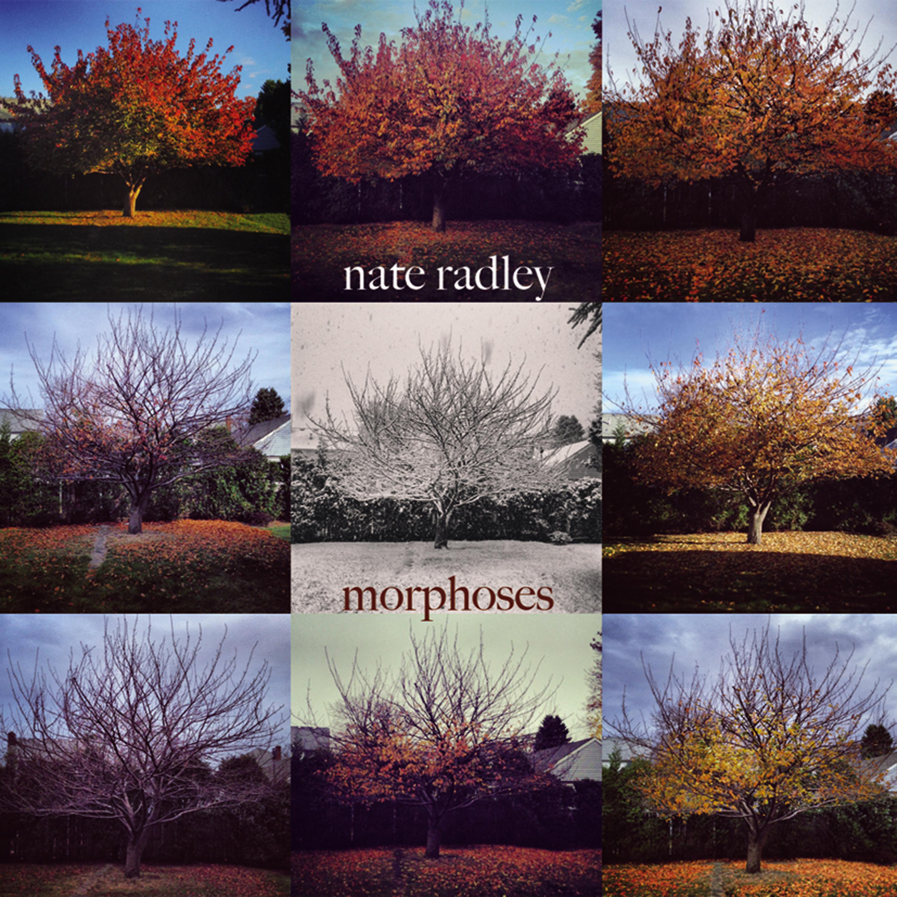 Постер альбома Morphoses