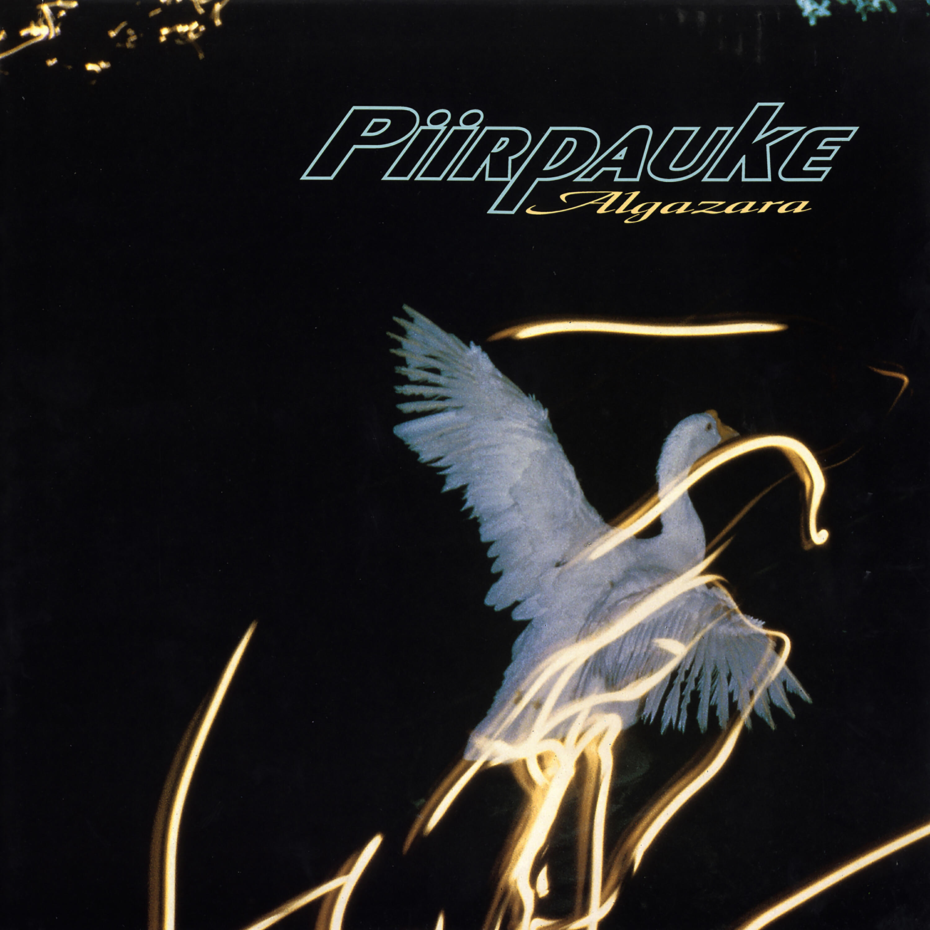 Piirpauke - Algazara