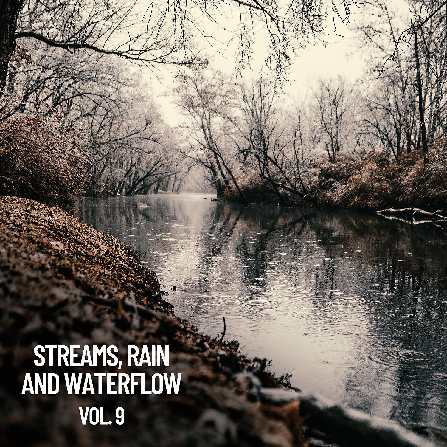 The Rain Library - Rainy Waterflow