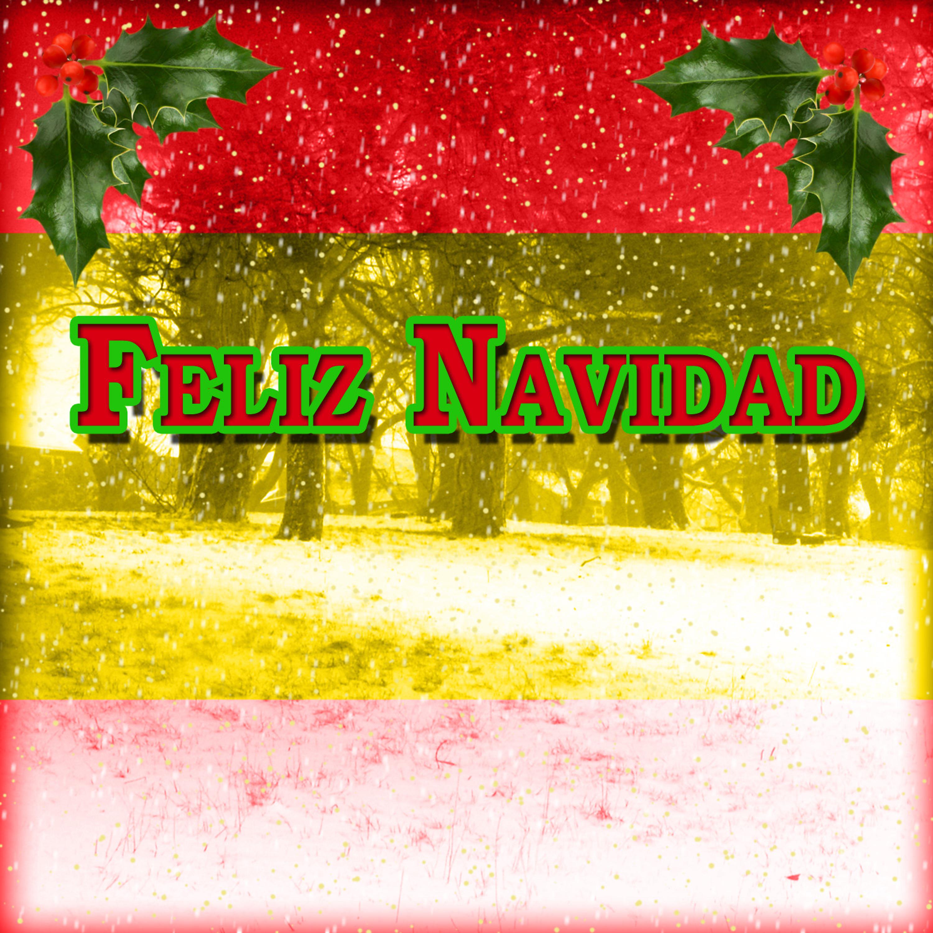 Постер альбома Feliz Navidad