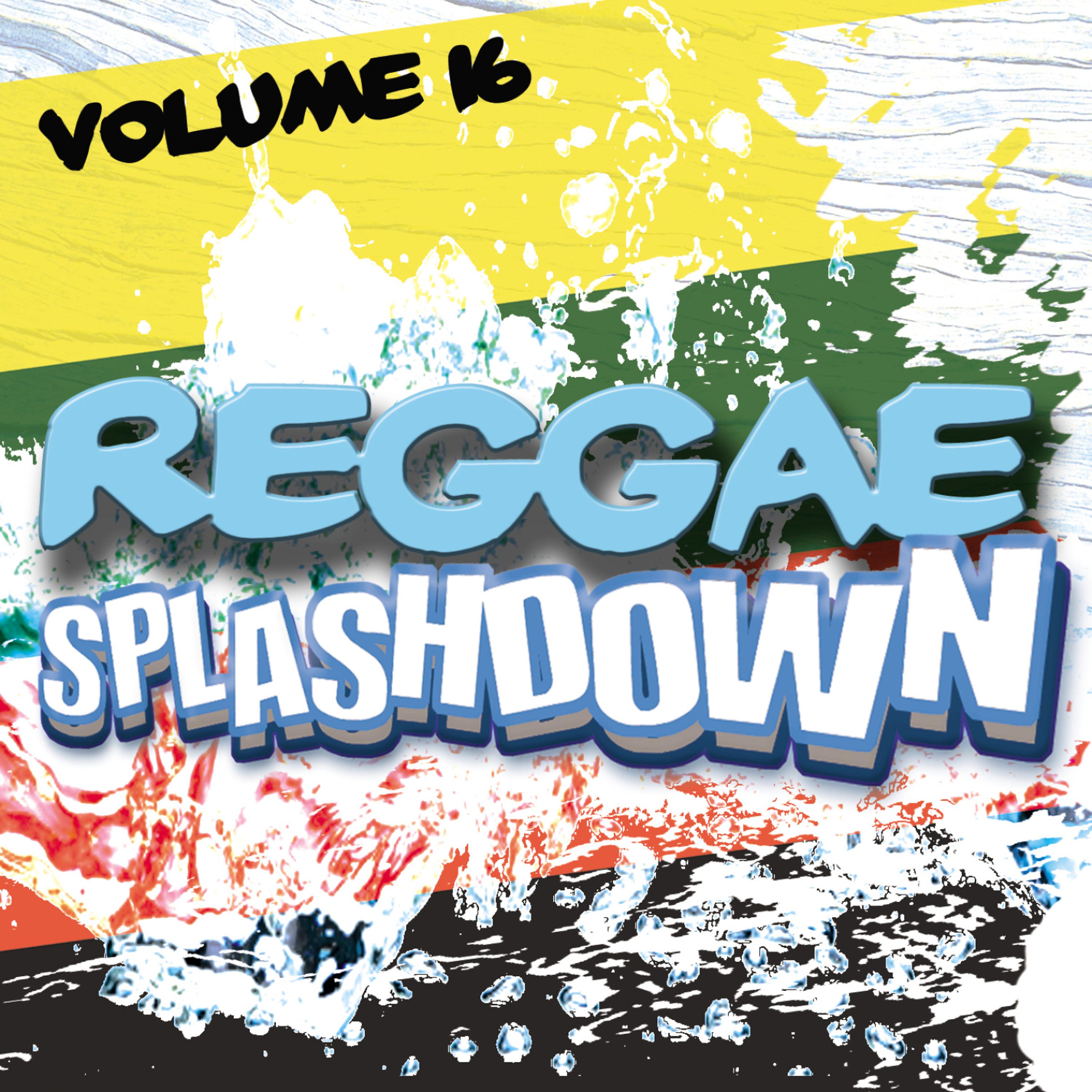 Постер альбома Reggae Splashdown, Vol 16