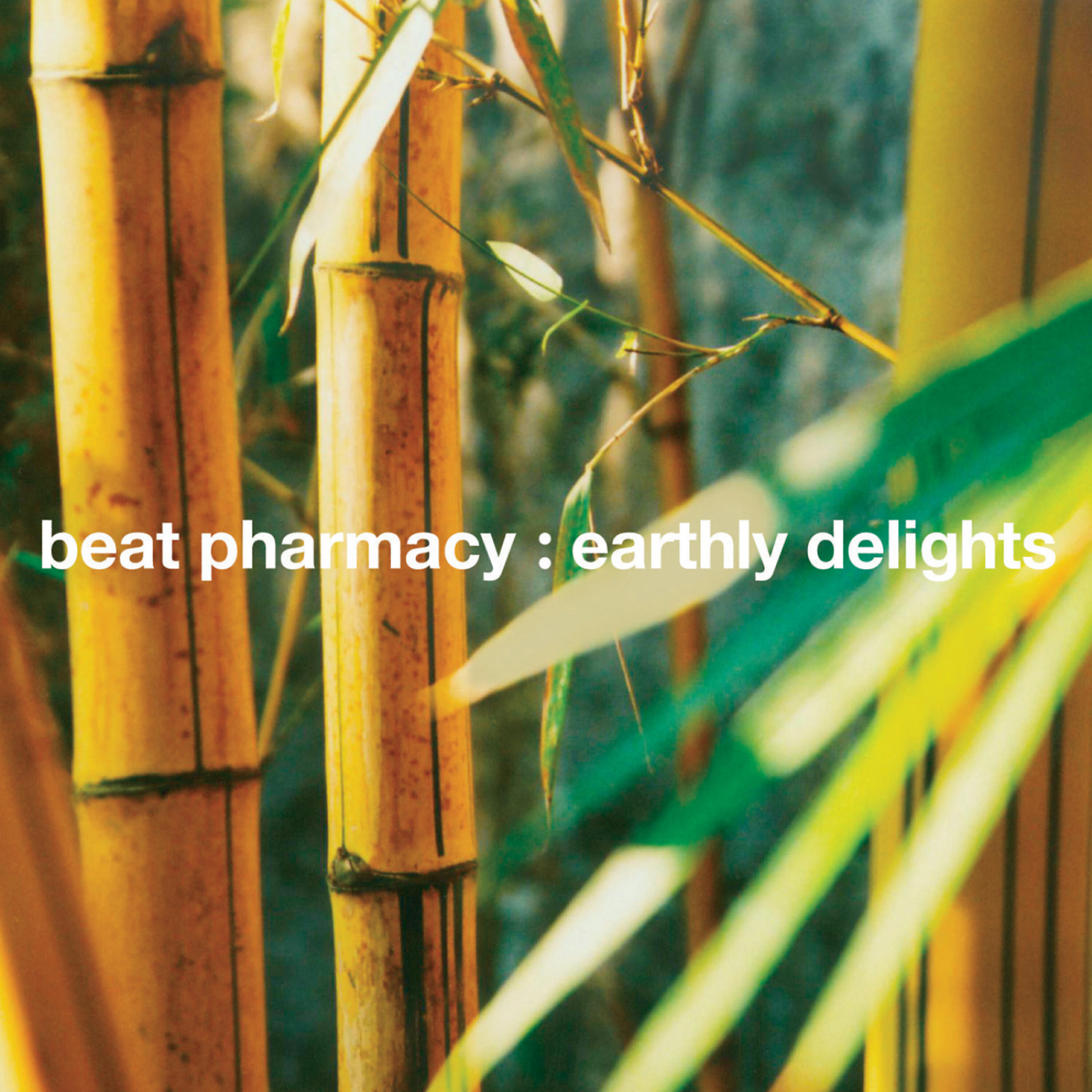 Beat Pharmacy - New Dawn (FK Edit)