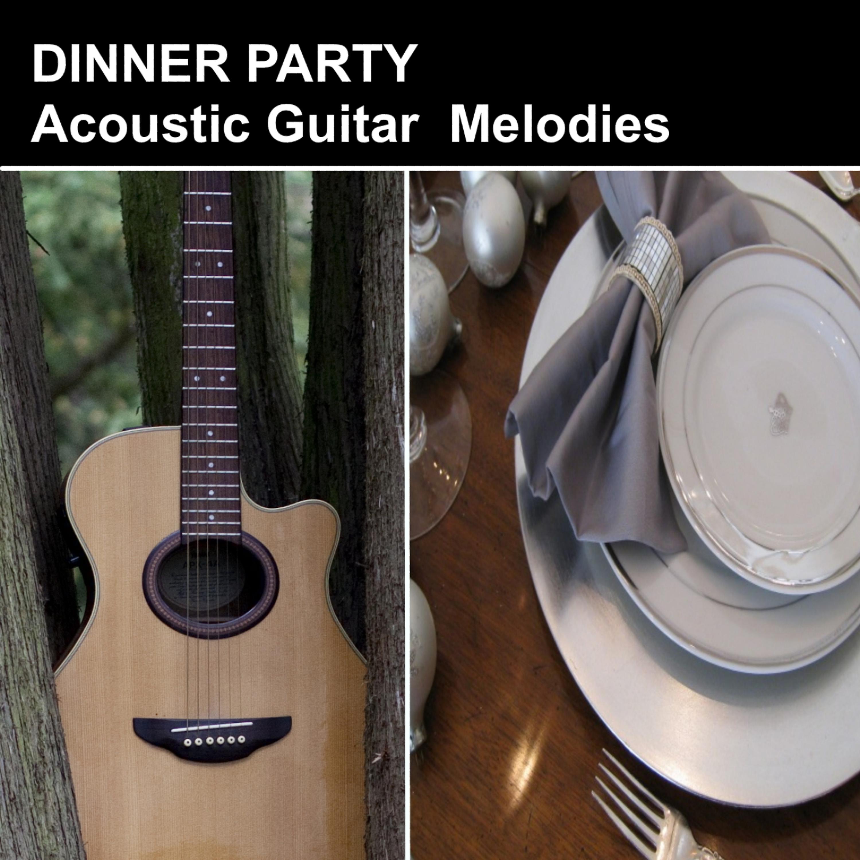 Постер альбома Dinner Party Acoustic Guitar Melodies