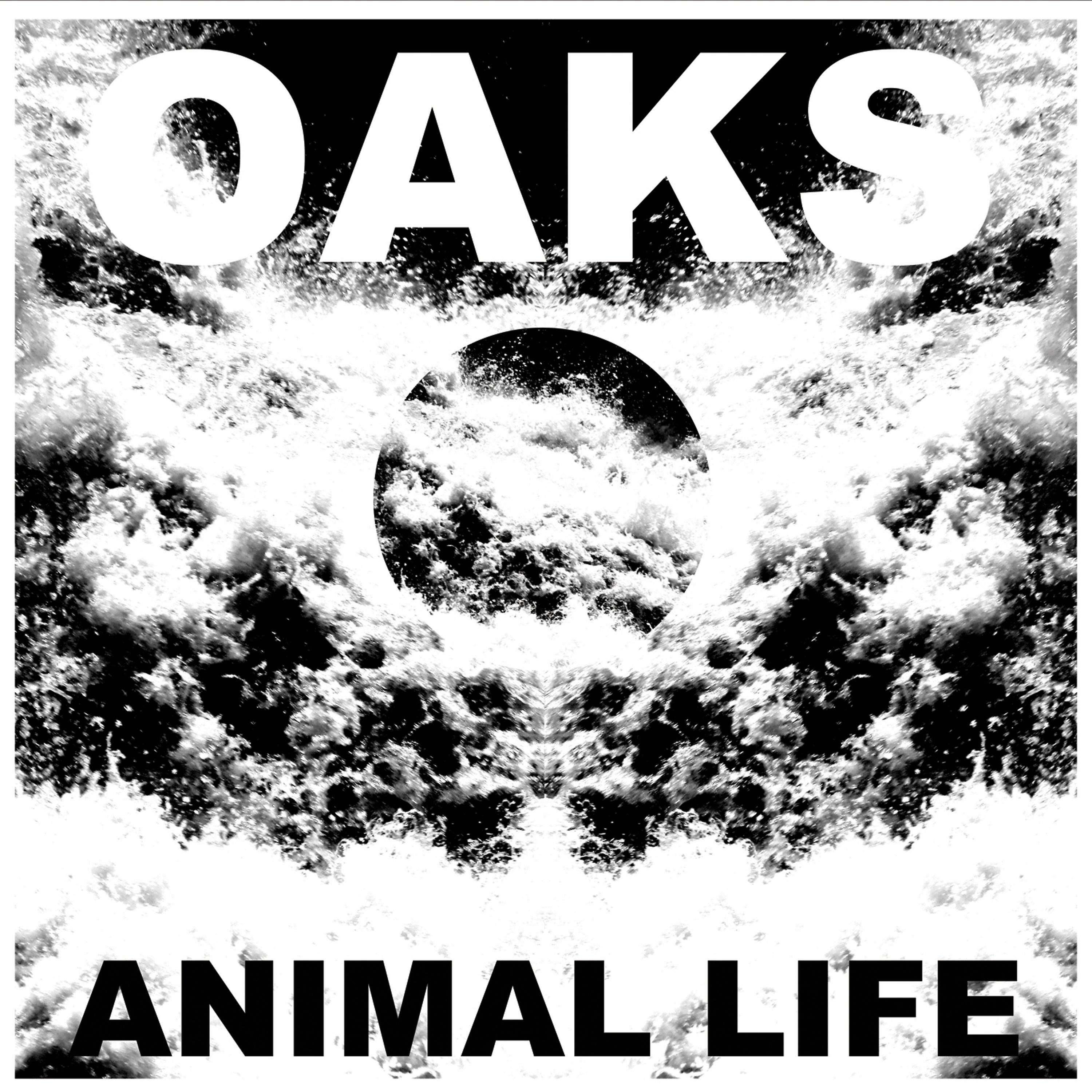 Постер альбома Animal Life