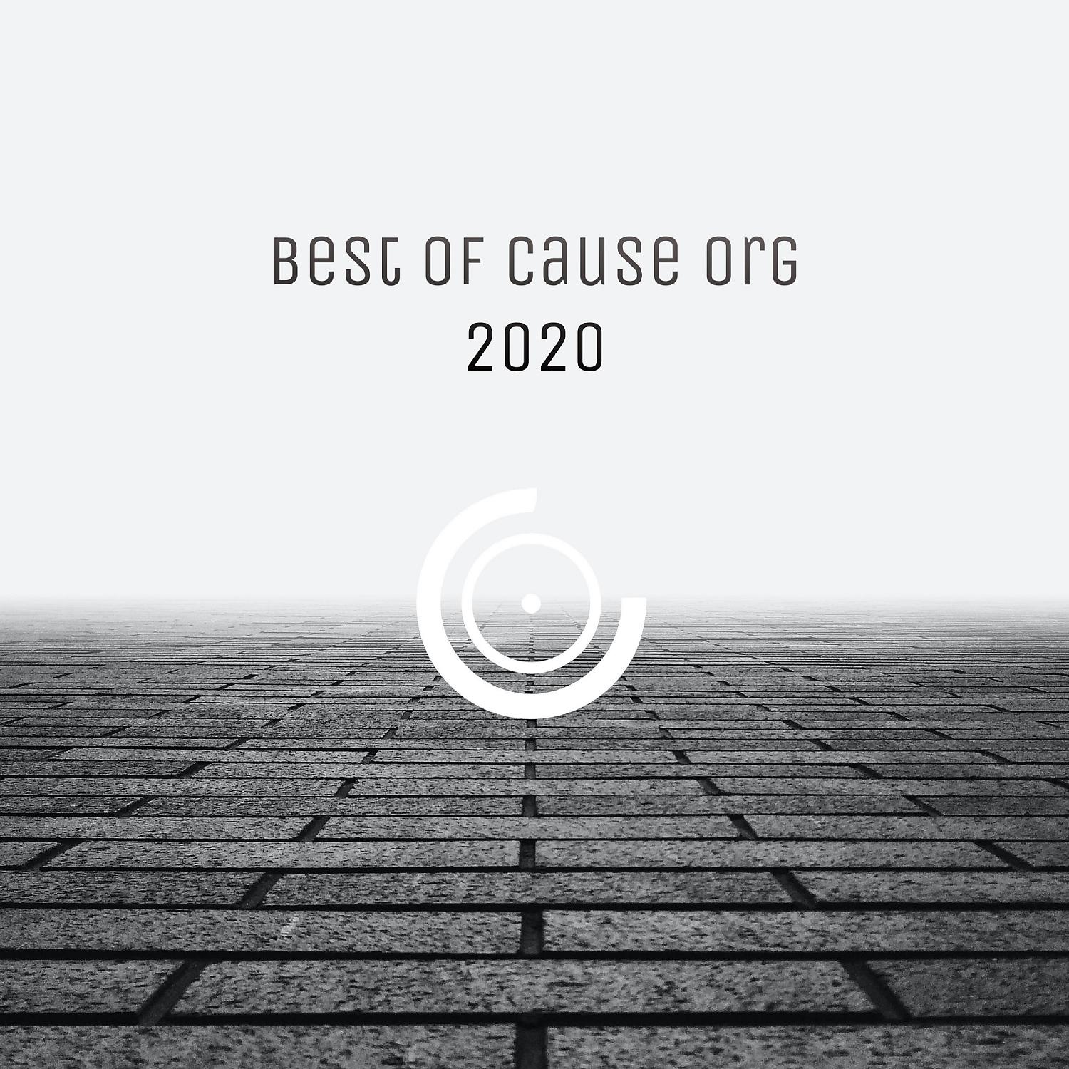 Постер альбома BEST OF CAUSE ORG 2020