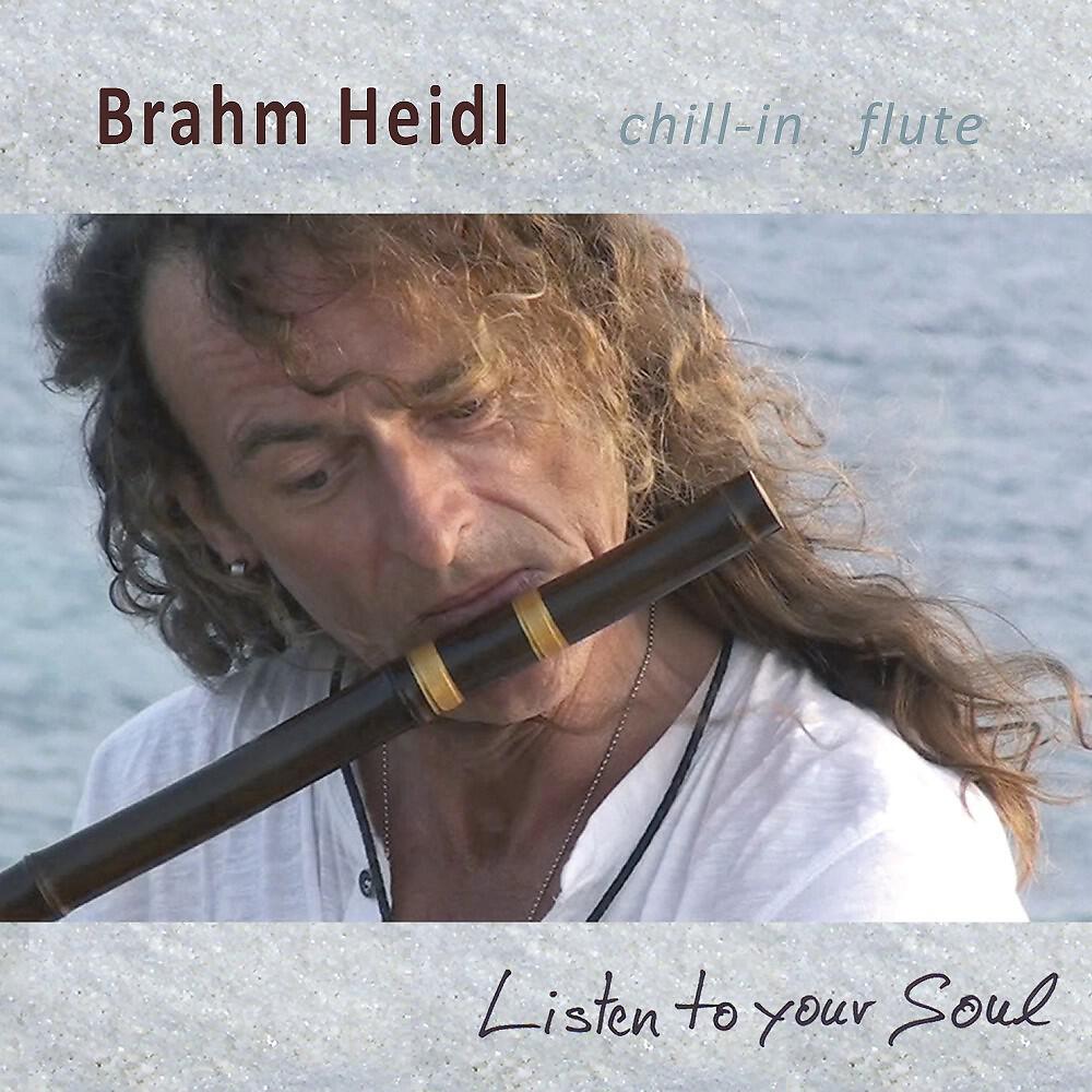 Brahm Heidl - Te Hecho de Menos