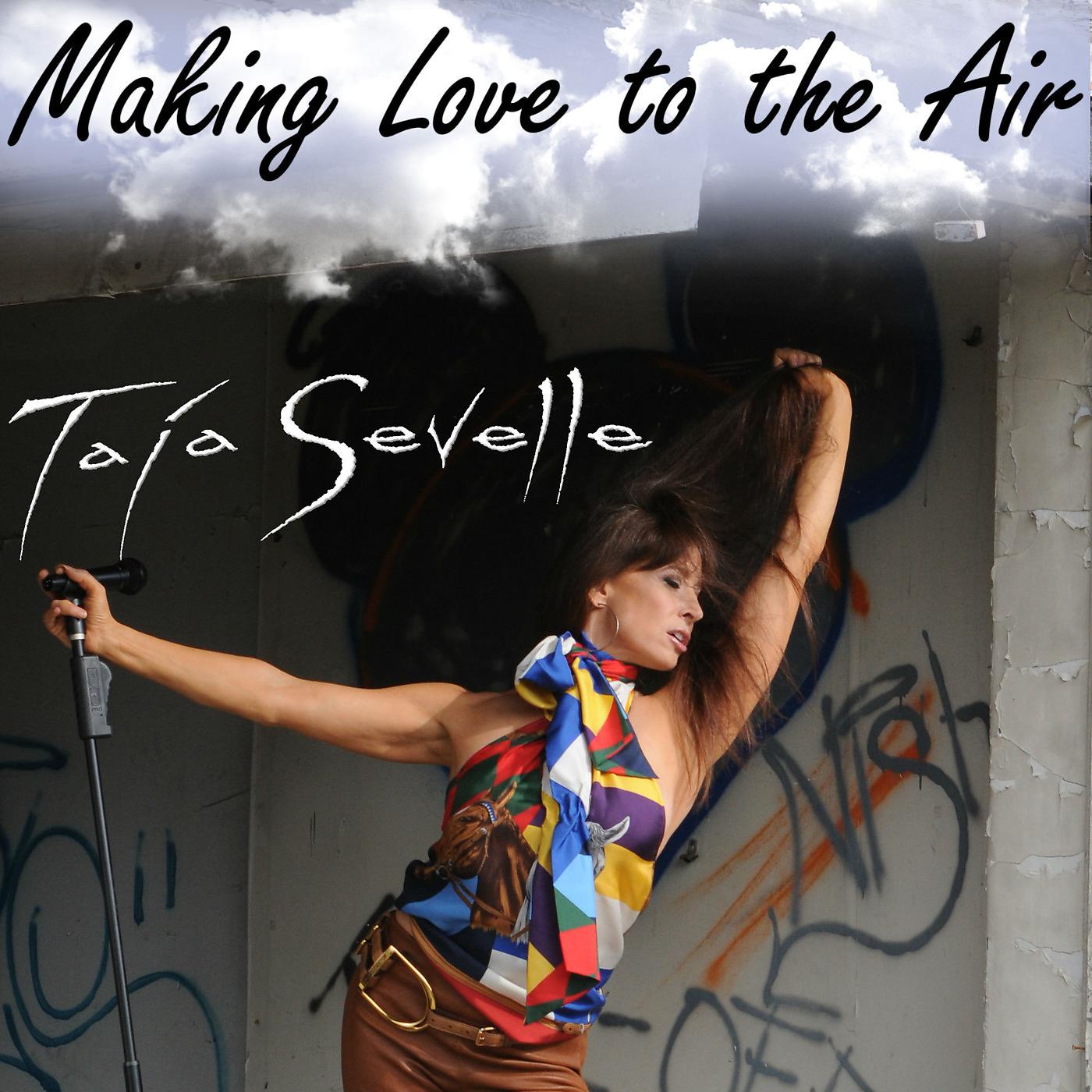 Постер альбома Making Love to the Air