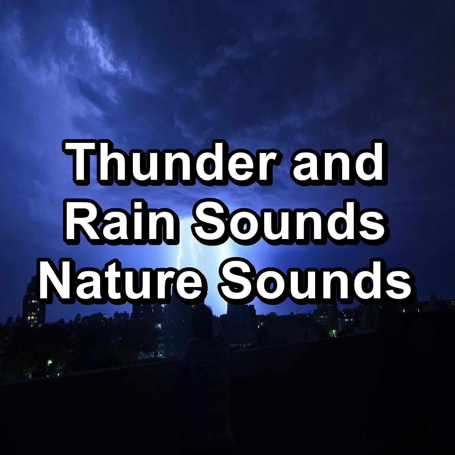 Sleep Tribe - Relaxing Rain For Yoga and Meditiation To Help You Sleep