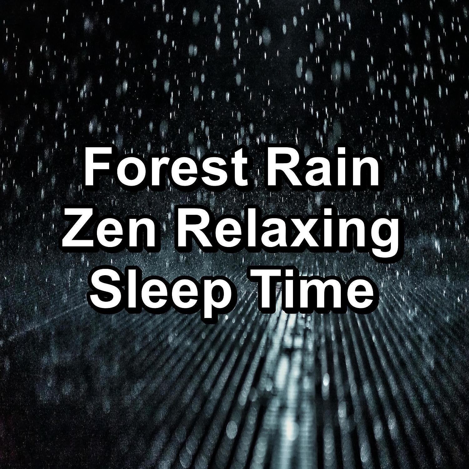 RAIN - Gentle Rain and Nature Sounds To Relax and Loop for 8 Hours