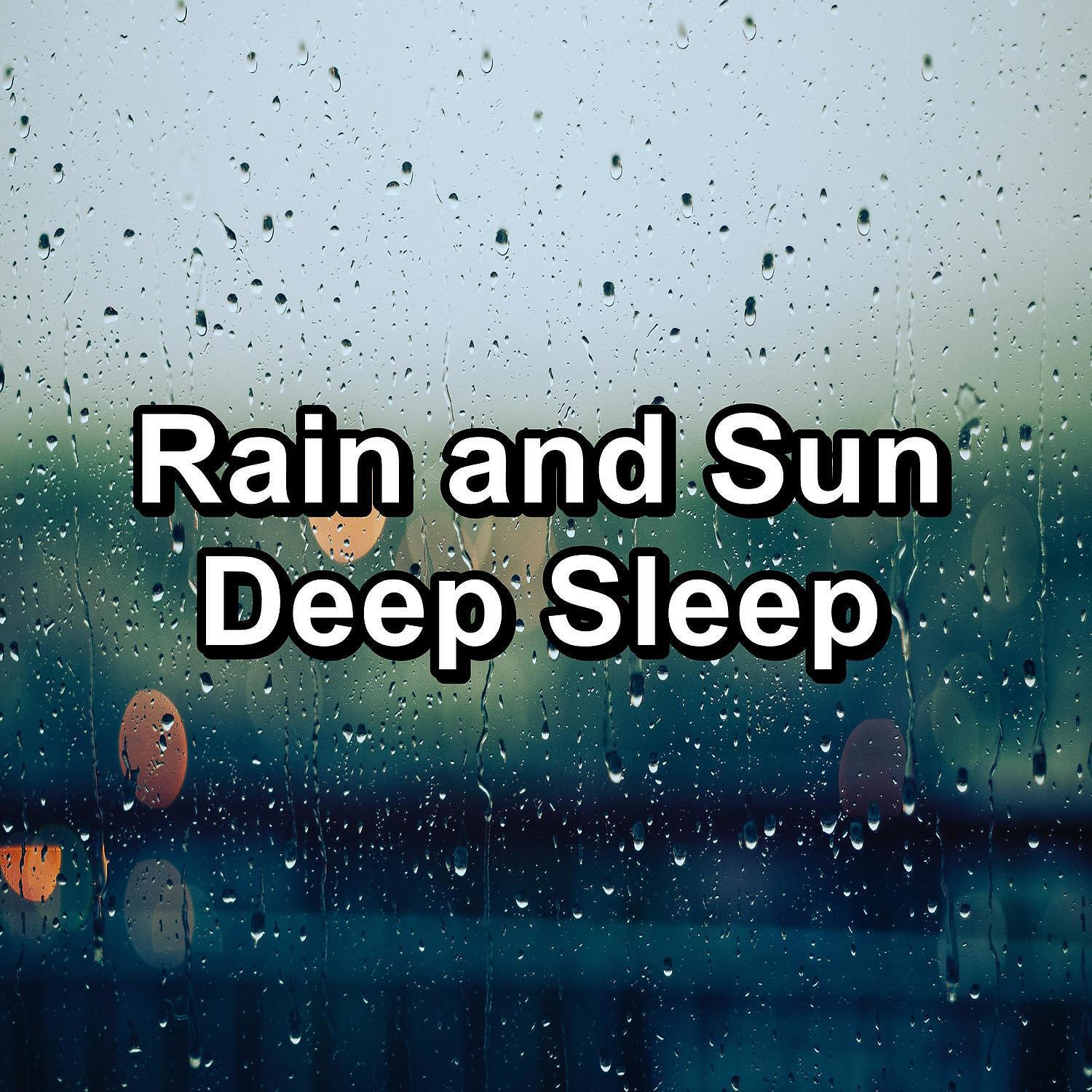 Rain Recorders - Rain For a Peaceful Night To Repeat for 24 Hours