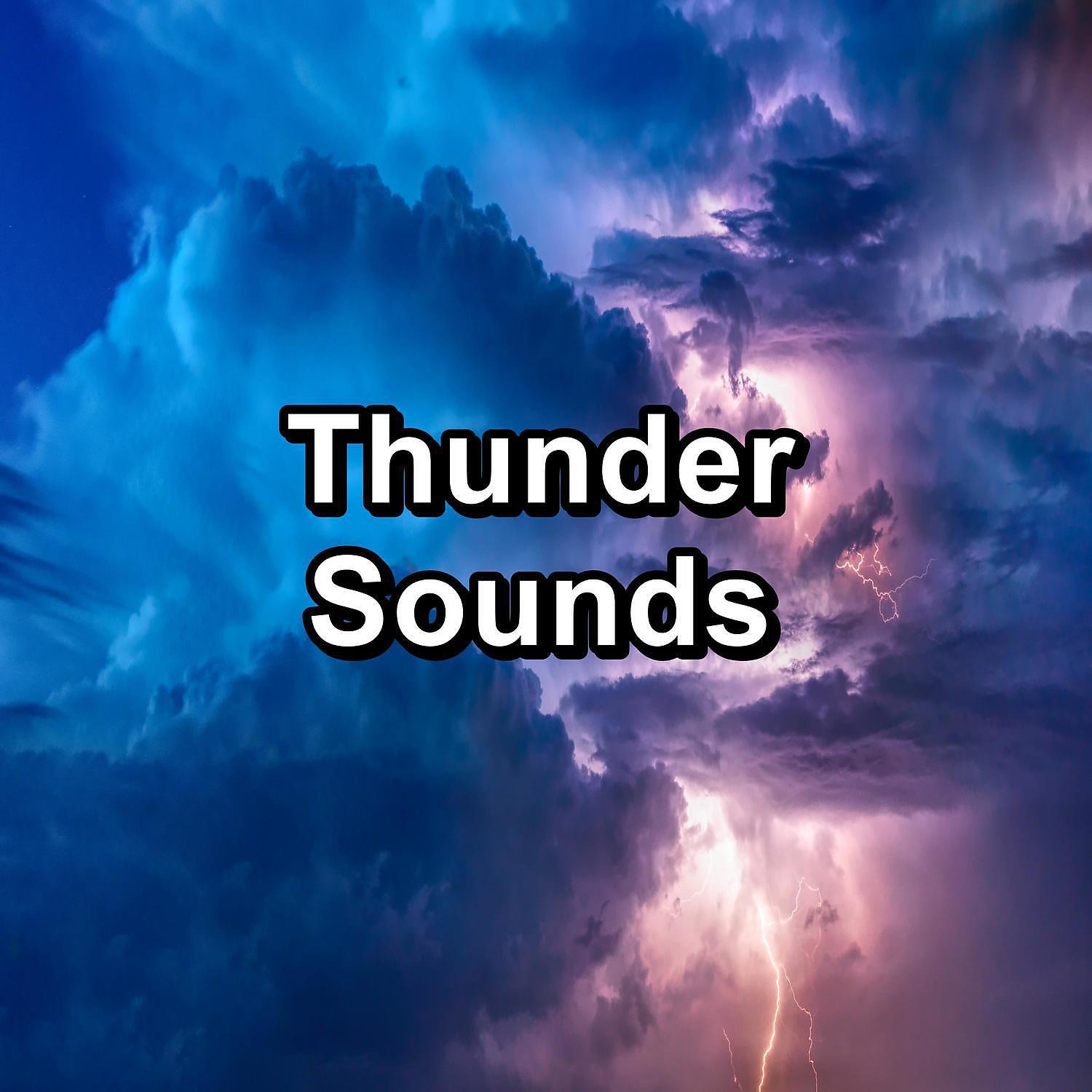 Nature - Cozy Rain with Nature Music Relaxing and Loopable for a 10 Hours Sleep