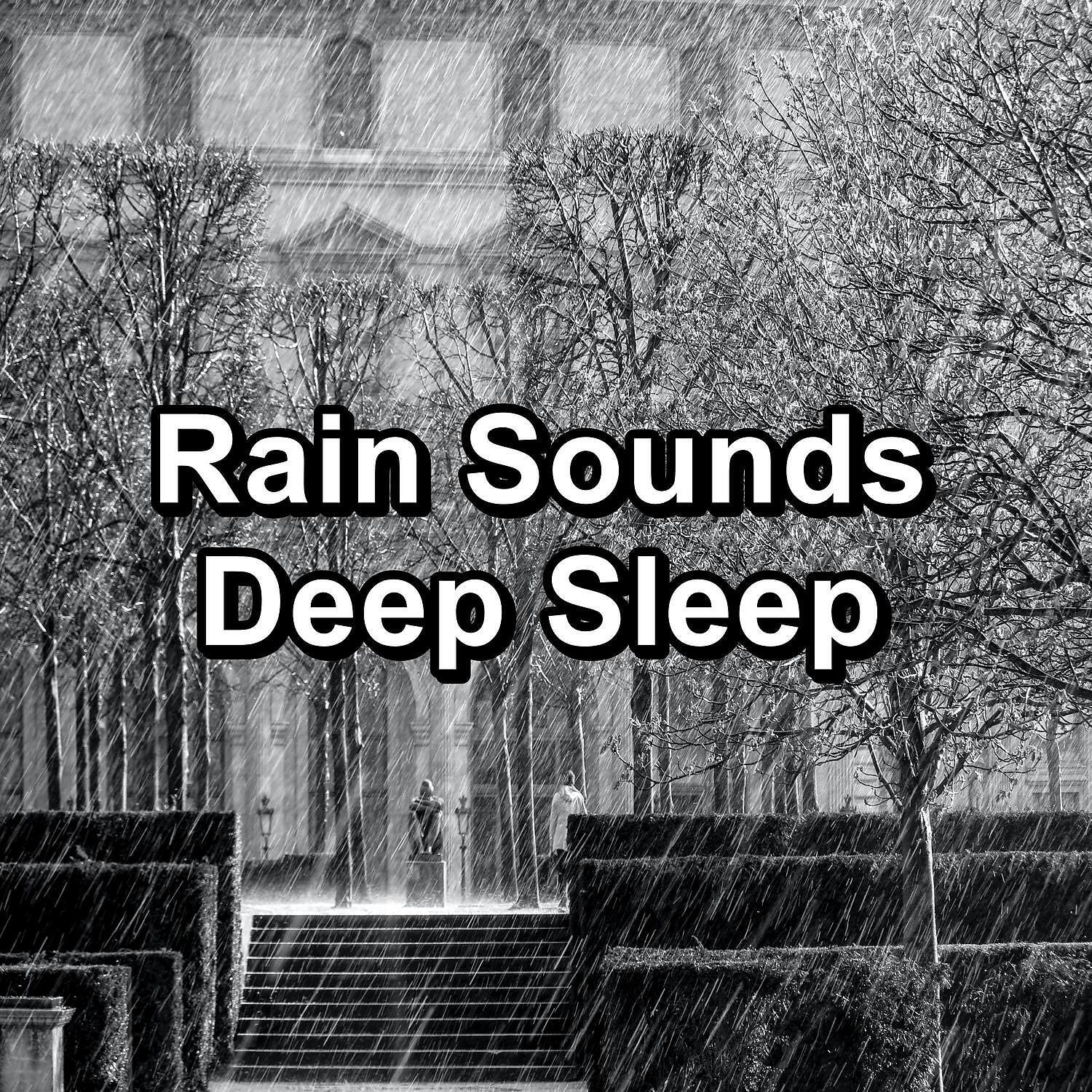 Mr Thunder - Soft Rain with Thunder and White Noise To Relax and Loop for 8 Hours