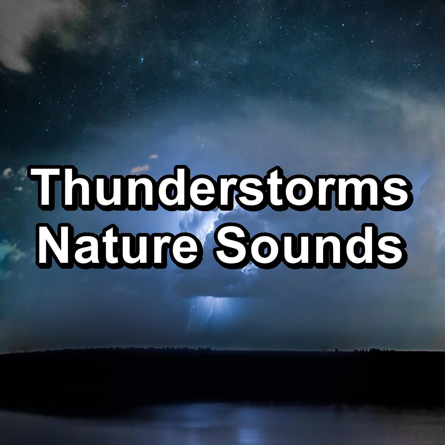 Deep Sleep Music Experience - Relaxing Rain For Yoga and Meditiation To Help You Sleep