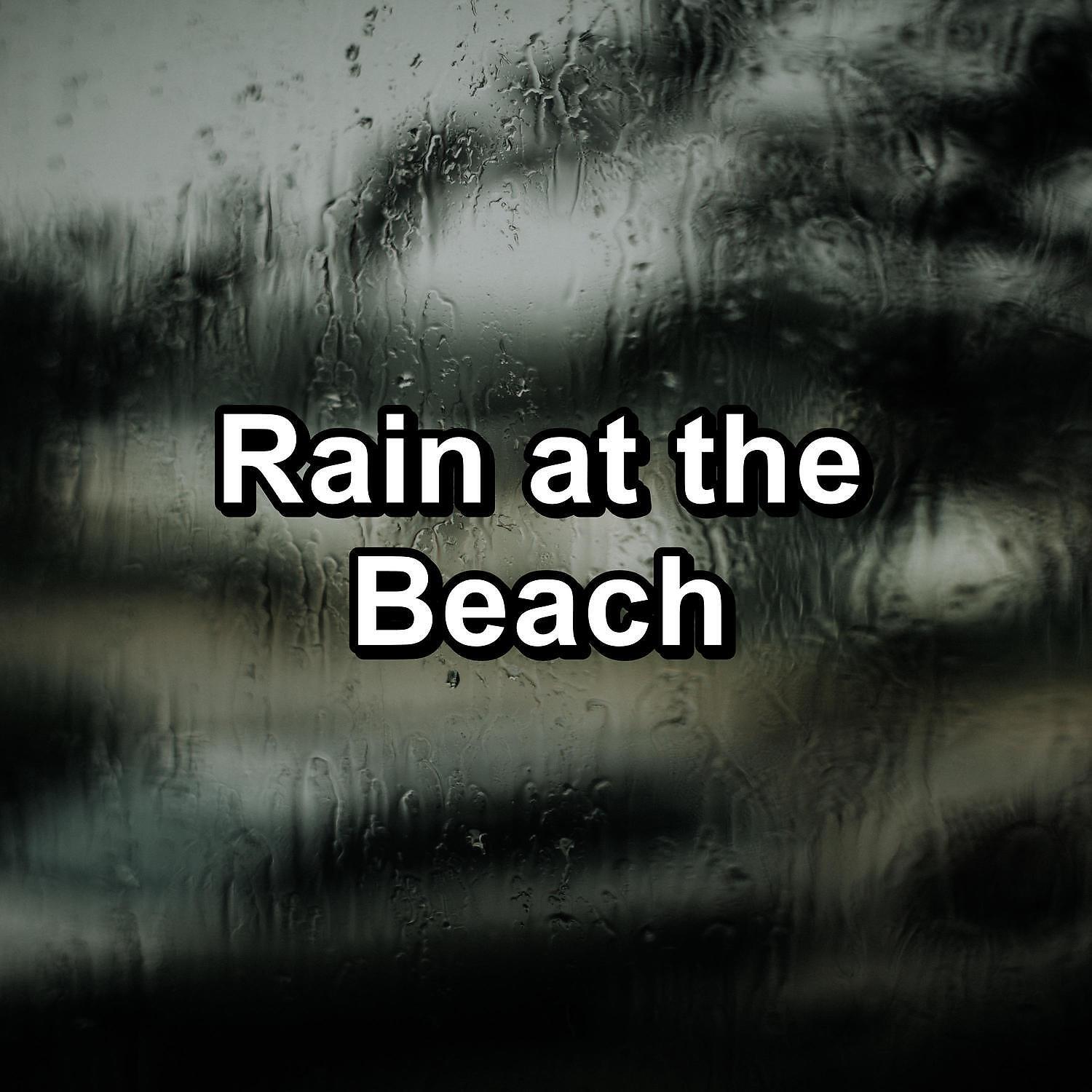 Thunderstorm - Soothing Evenings of Rainy Season