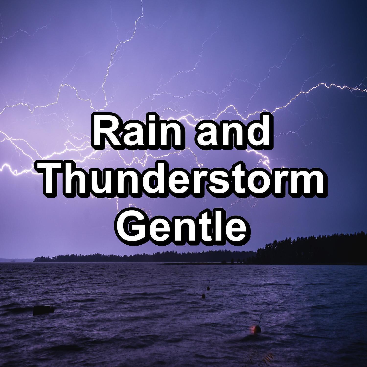Nature & Sounds Backgrounds - Forest Rain with Nature Music in the Night