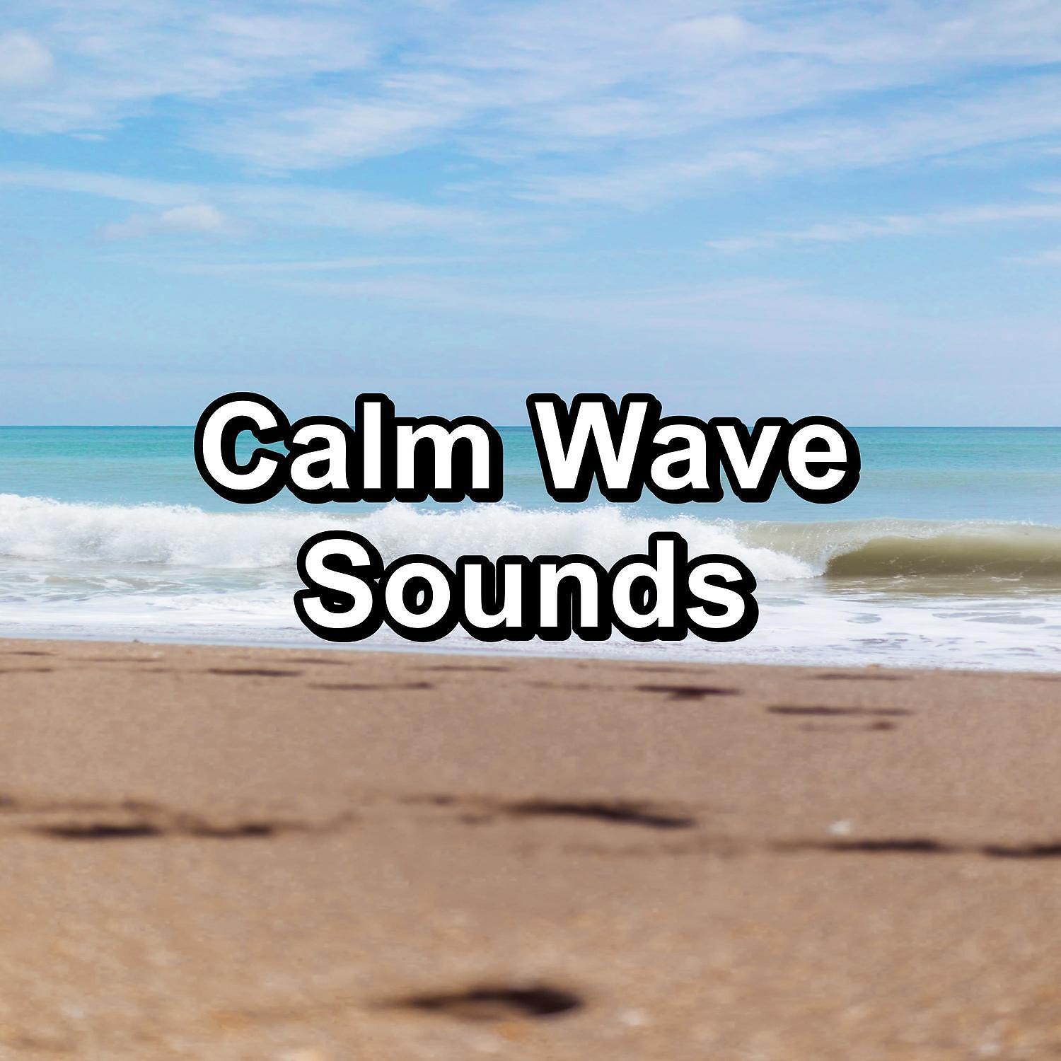 Waves of the Sea - Beach Sounds Healing Water Sounds To Repeat for 10 Hours