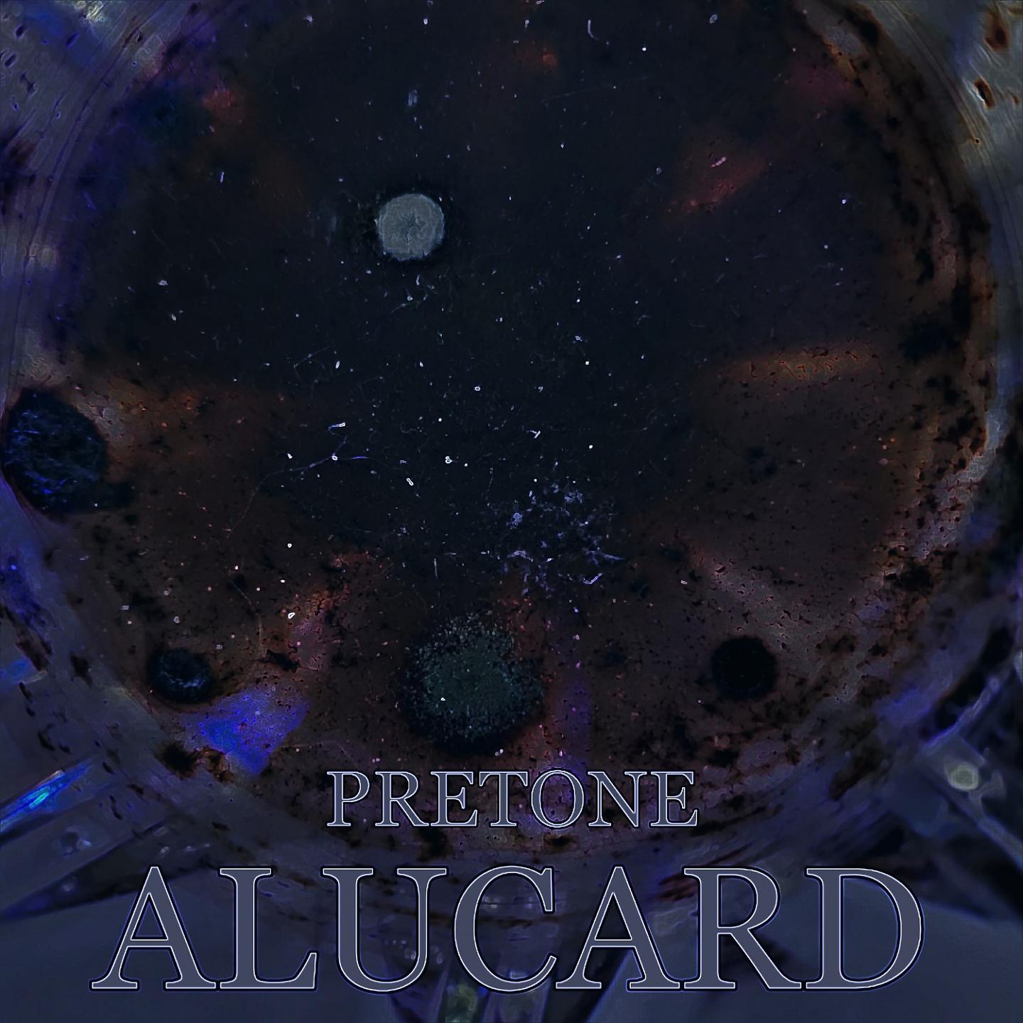 Постер альбома Alucard