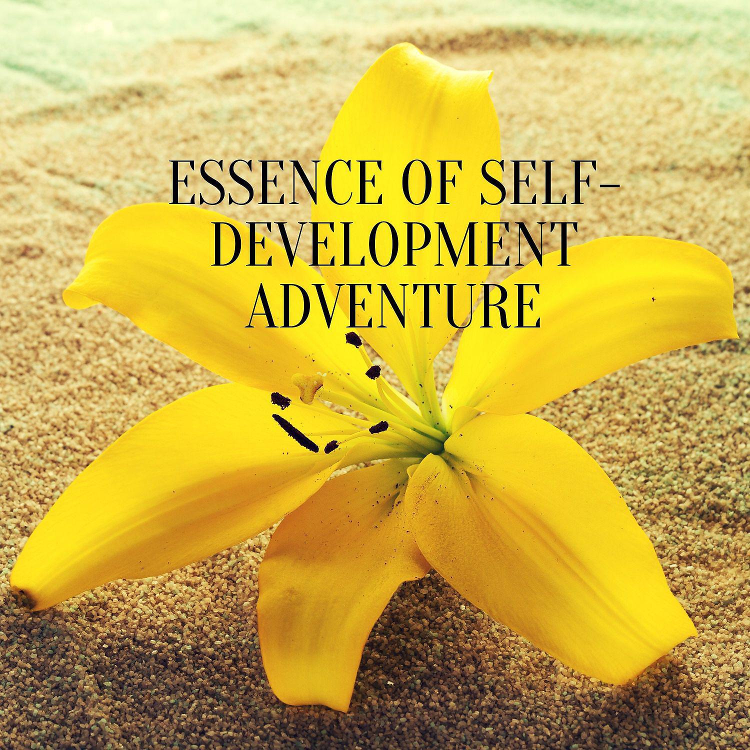 Постер альбома Essence of Self-Development Adventure - More Confident, More Fulfilled, More Enlightened Version of Yourself